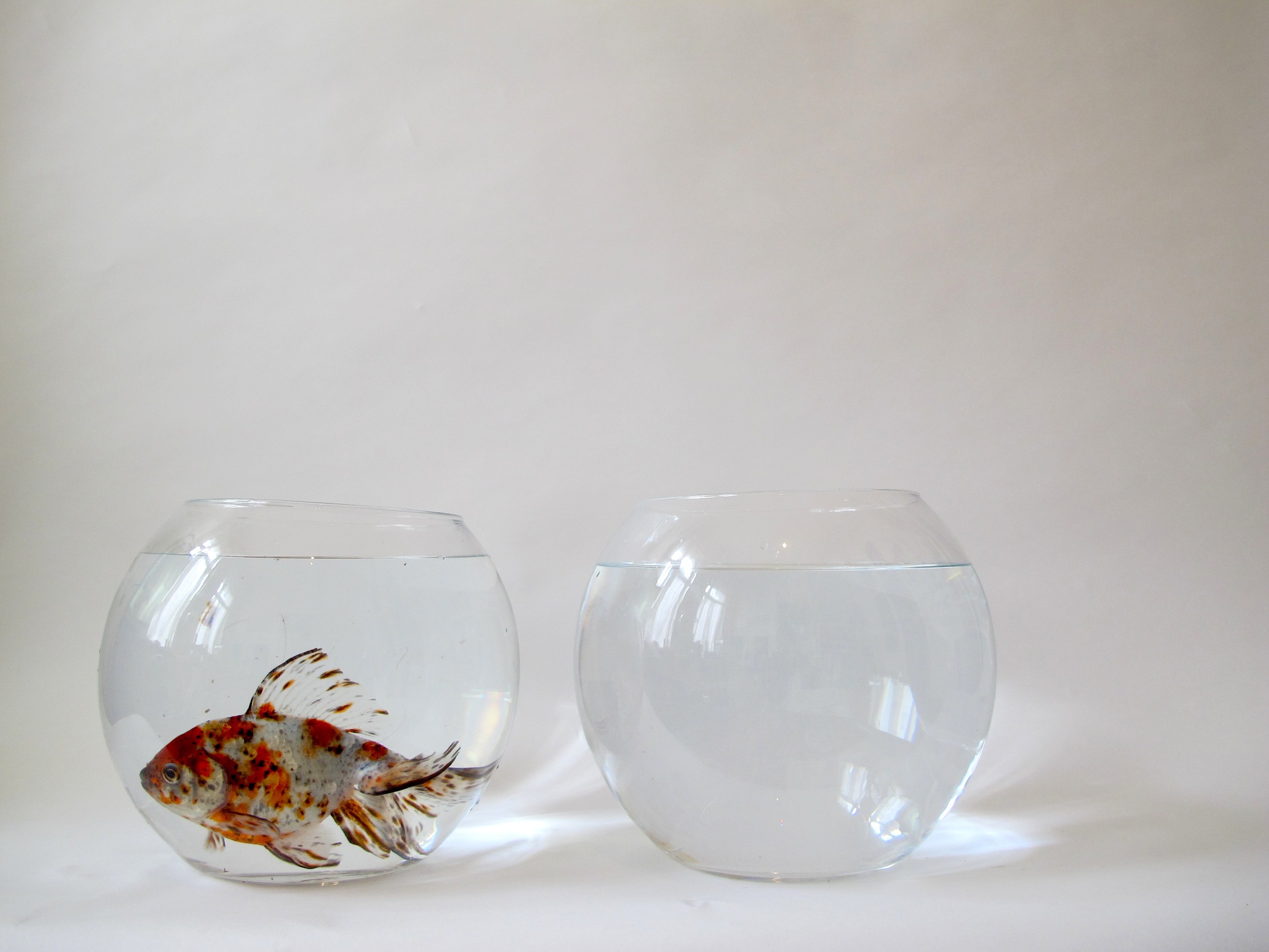 *One to One*, video still © Messieurs Delmotte