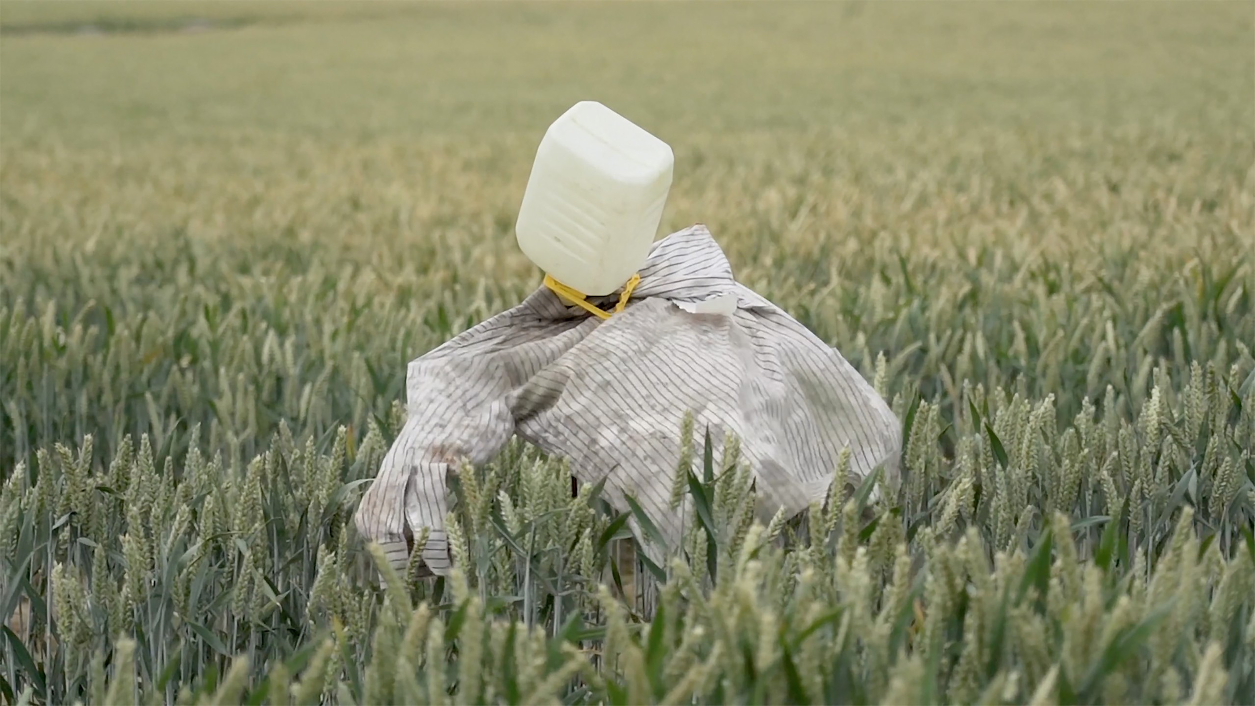 *Inside Outside*, video still © Elise Guillaume