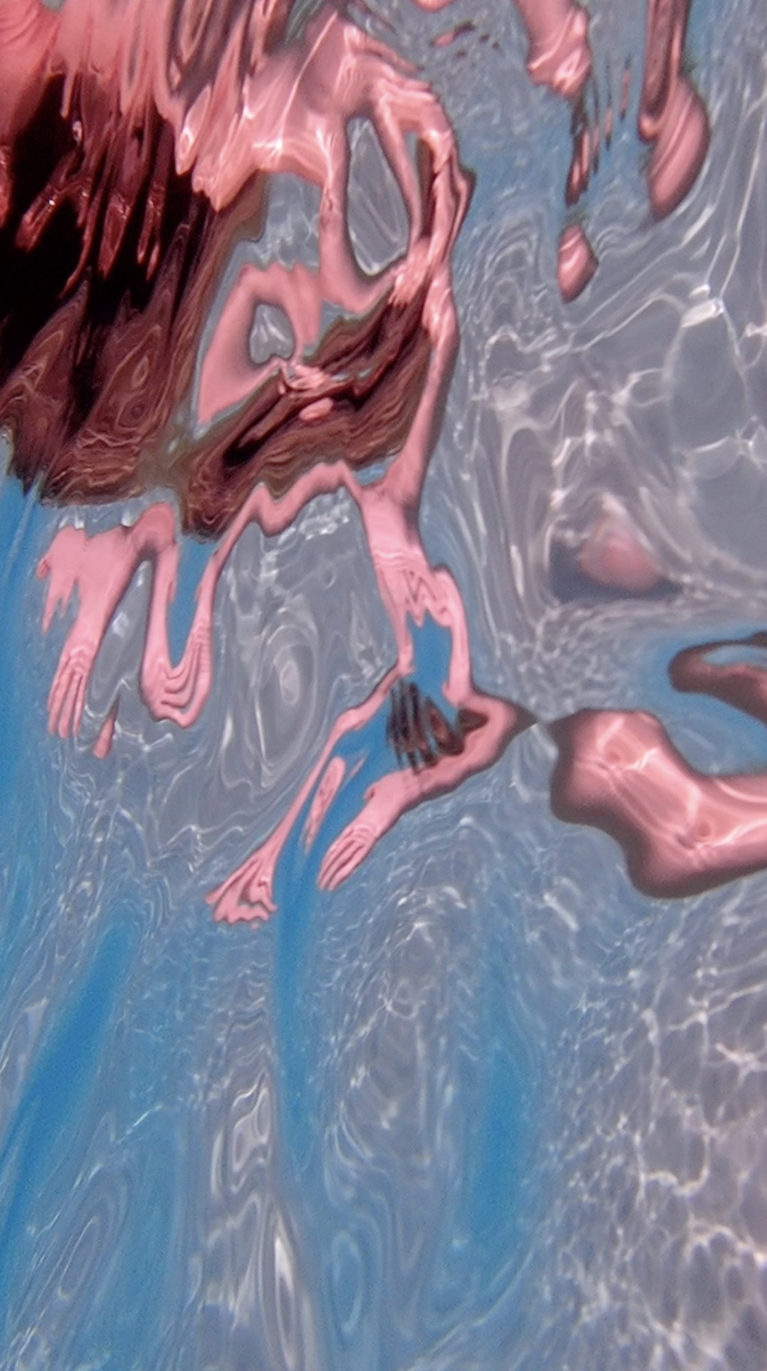 Gabrielle Lerch_From Liquid to liquid - Still vidéo