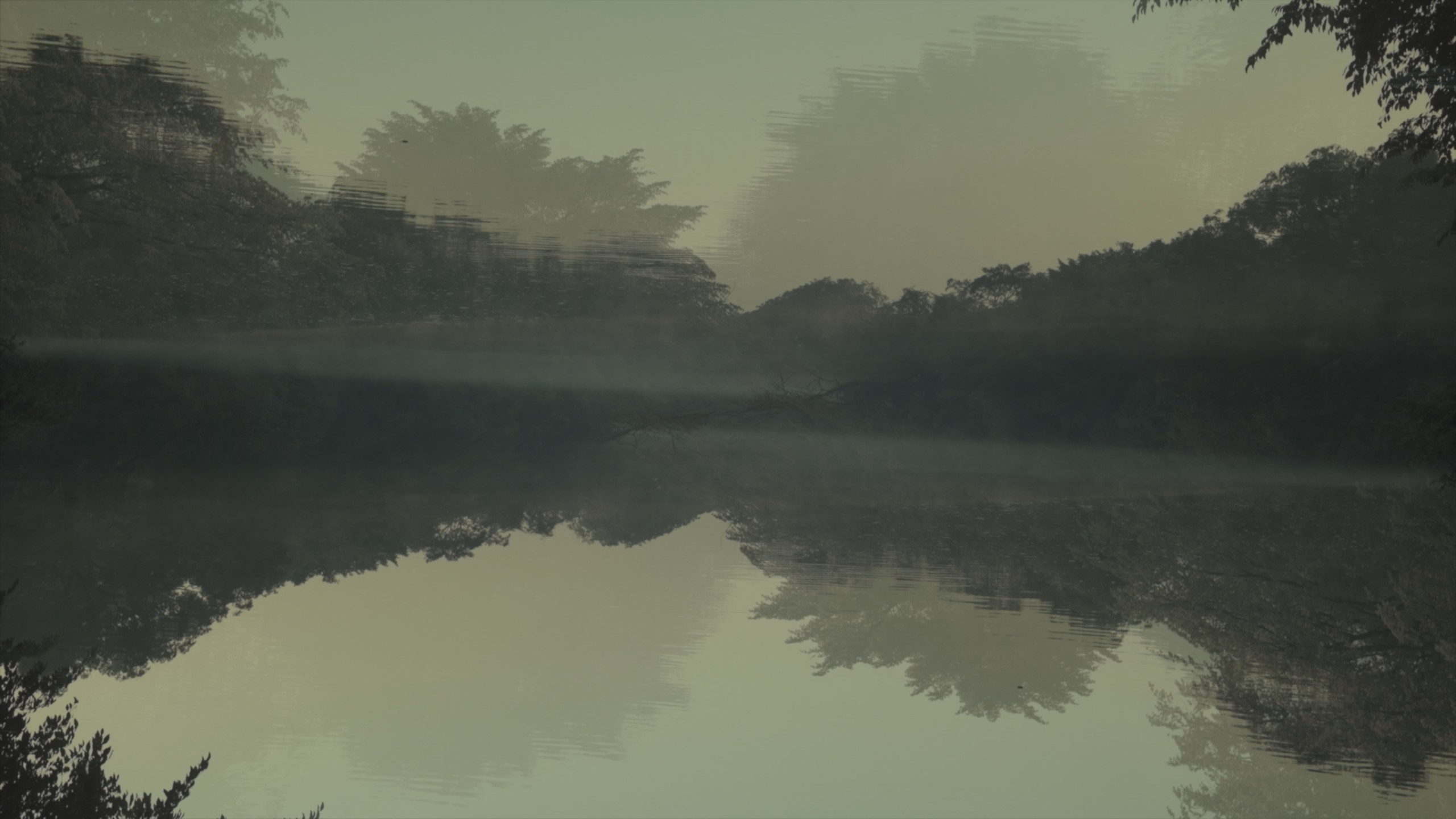 Leonard Pongo_Primordial Earth Inhabiting The Landscape - Still vidéo