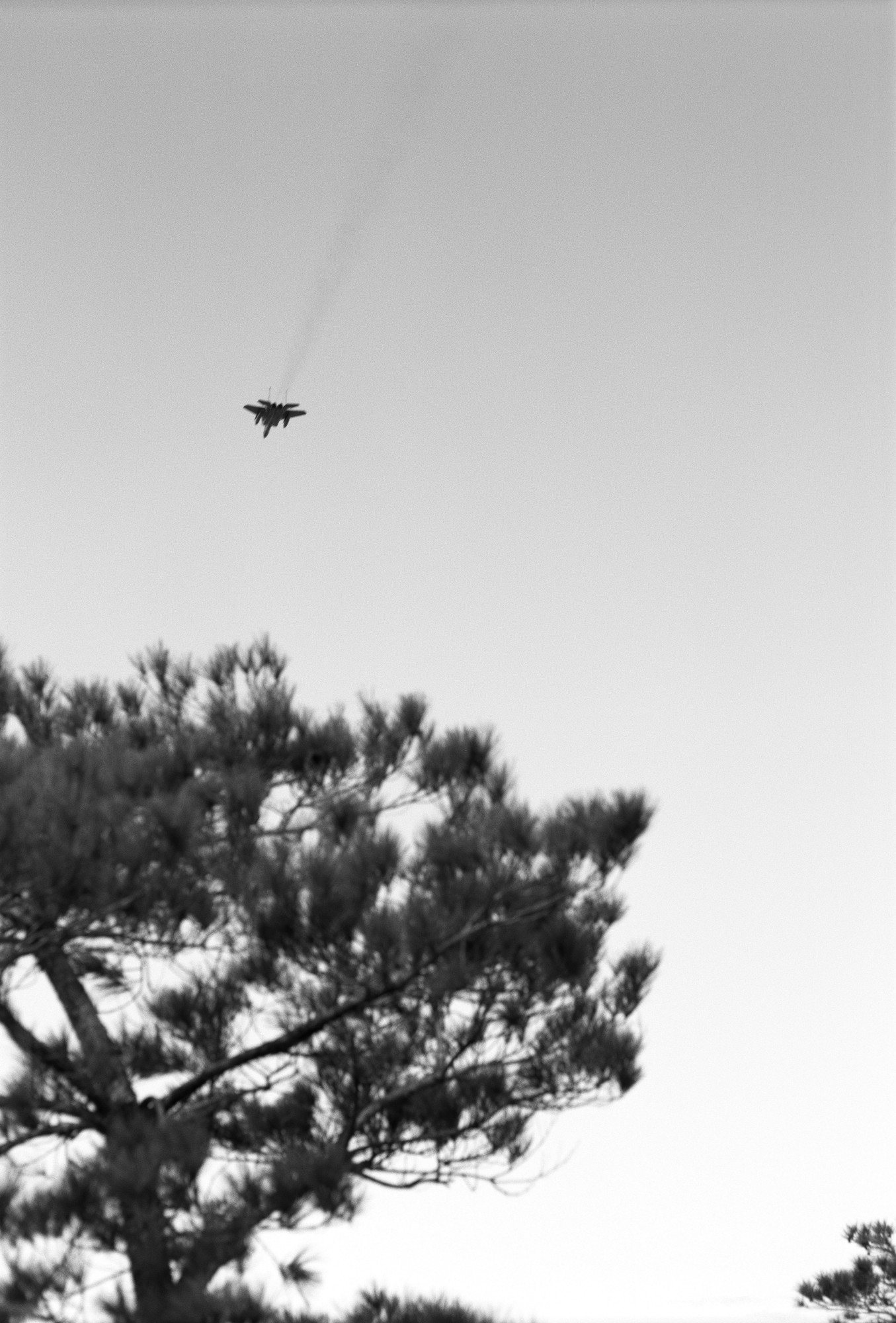 Okinawa !! - 2019 © Victoire Thierrée