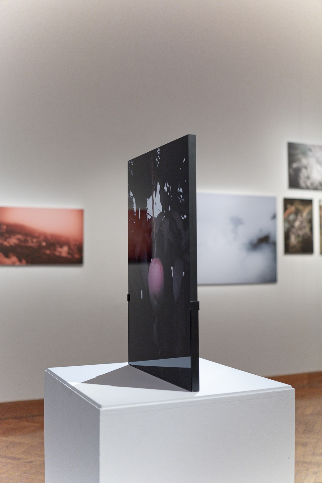 ©-Leonard-Pongo-Primordial-Earth-01