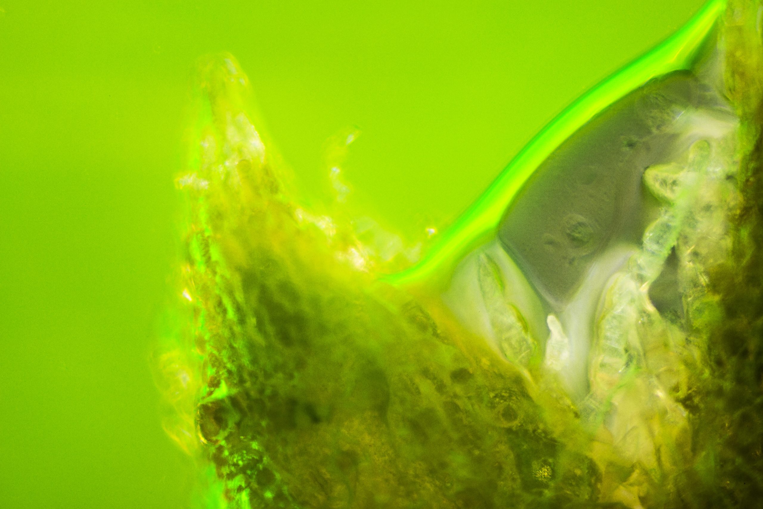 ©-Laetitia-Bica-Dispersion-1-scaled