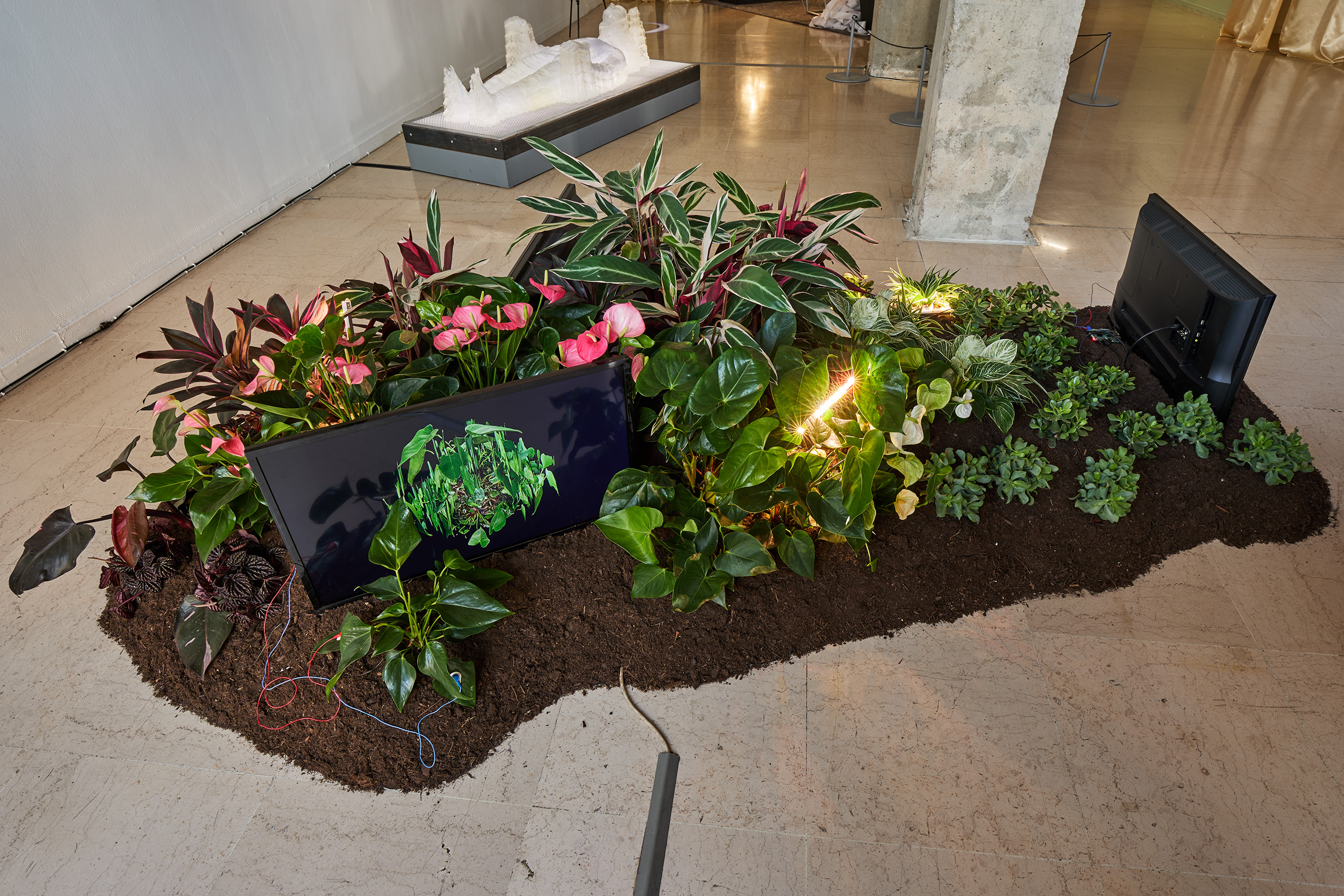Katherine Melançon, Vers un parlement du vivant I (version pour trois écrans) / Photo © Jean Christophe Lett