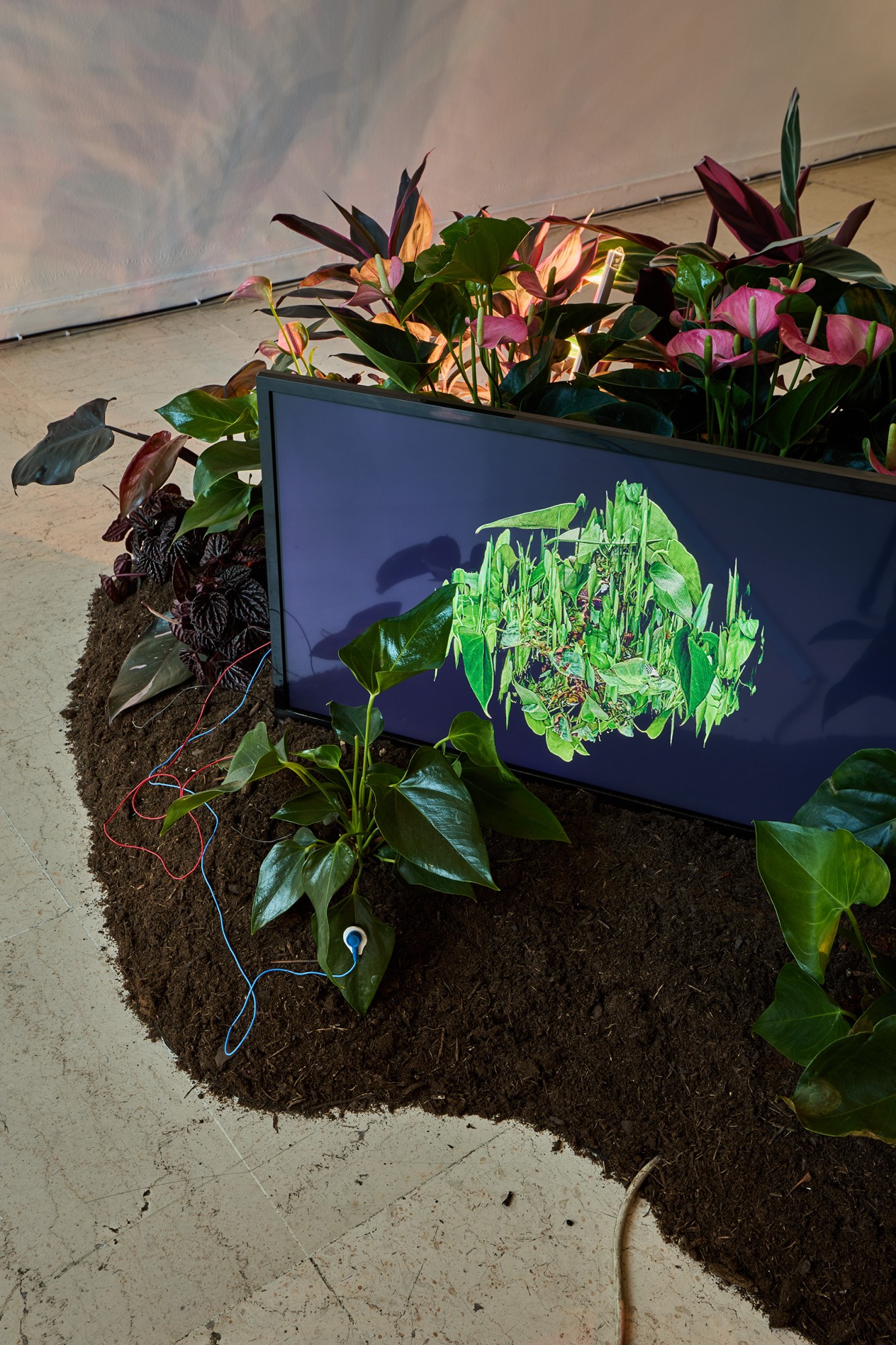 Katherine Melançon, Vers un parlement du vivant I (version pour trois écrans) / Photo © Jean Christophe Lett