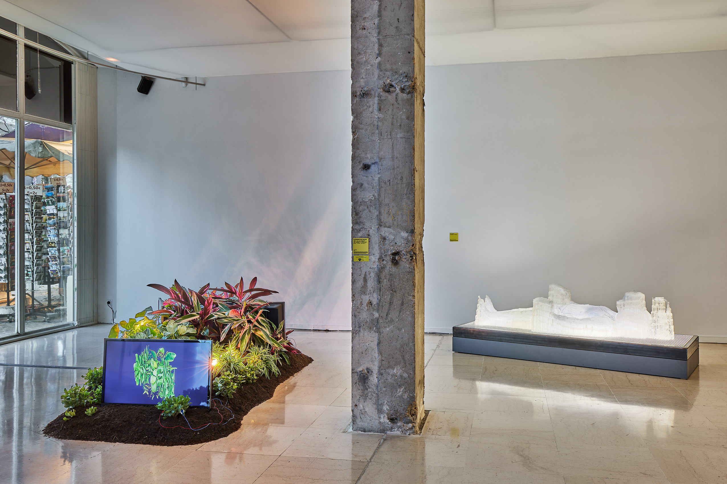 Katherine Melançon, Vers un parlement du vivant I (version pour trois écran Eva L'Hoest, Shitsukan Of Objects  ©Jean Christophe Lett. Exposition NOVA XX CWB PARIS