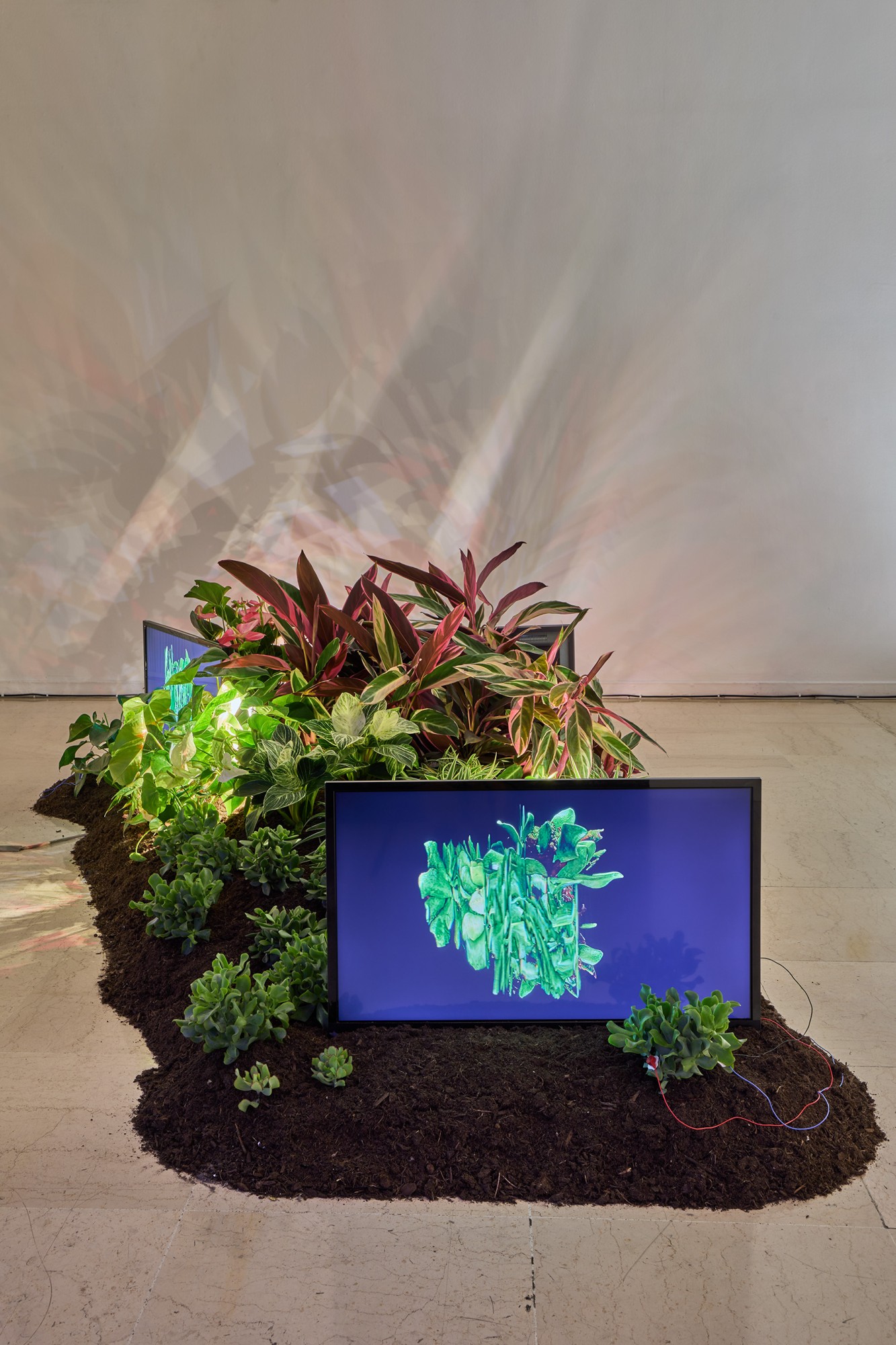 Katherine Melançon, Vers un parlement du vivant I (version pour trois écrans) / Photo © Jean Christophe Lett