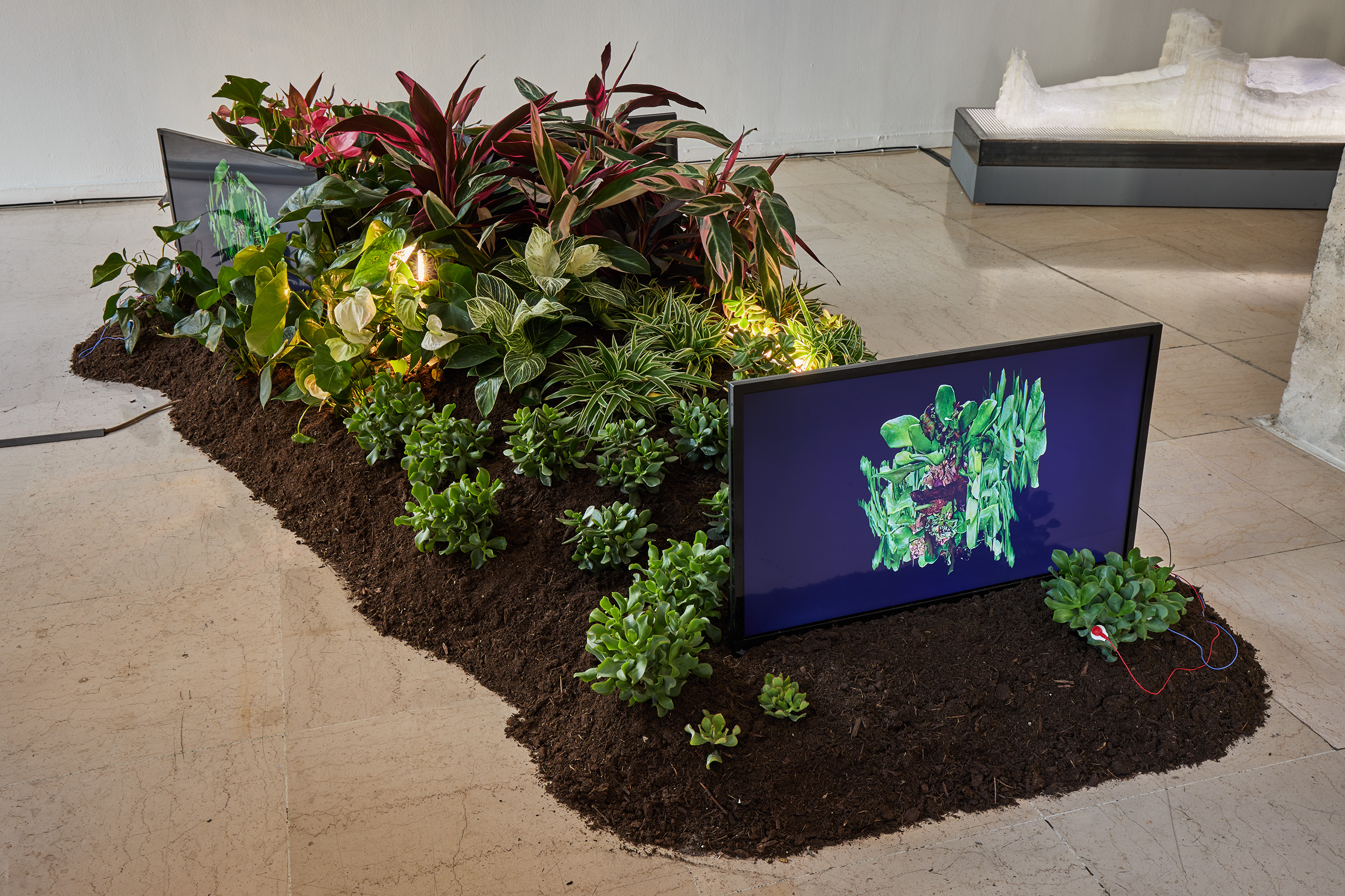 Katherine Melançon, Vers un parlement du vivant I (version pour trois écrans) / Photo © Jean Christophe Lett