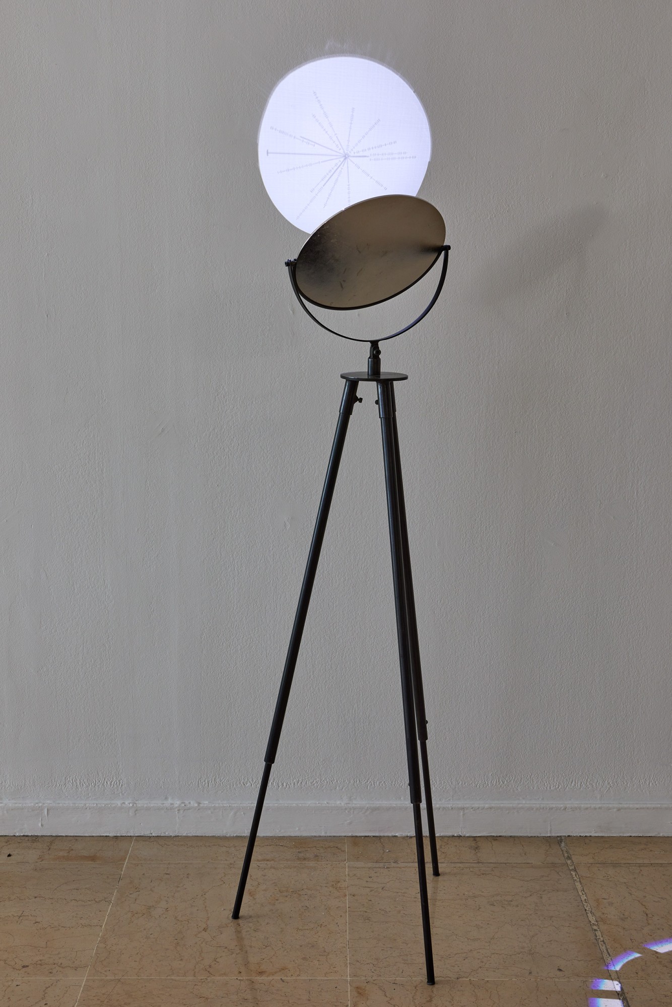 Marjolijn Dijkman, Mirror World / Photo © Jean Christophe Lett