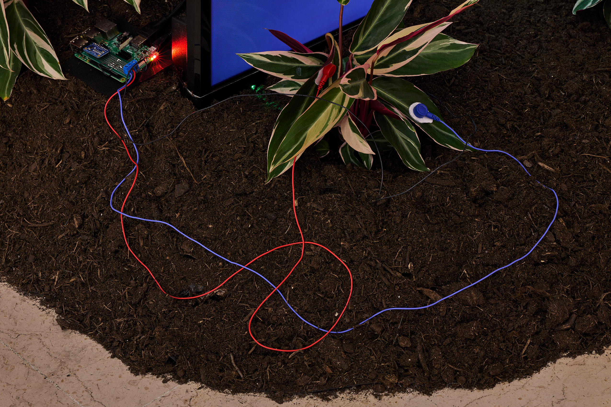 Katherine Melançon, Vers un parlement du vivant I (version pour trois écrans) / Photo © Jean Christophe Lett