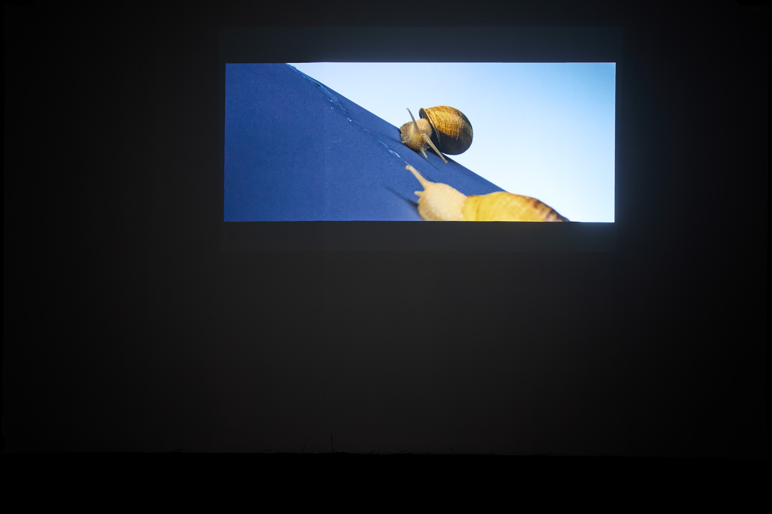 Cindy Coutant, Télédesir / Photo © Jean Christophe Lett