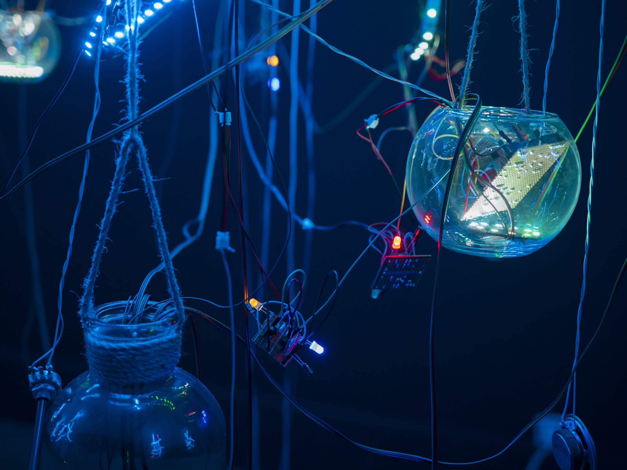 Marylou, Bestioles @ Zoe Thiburs