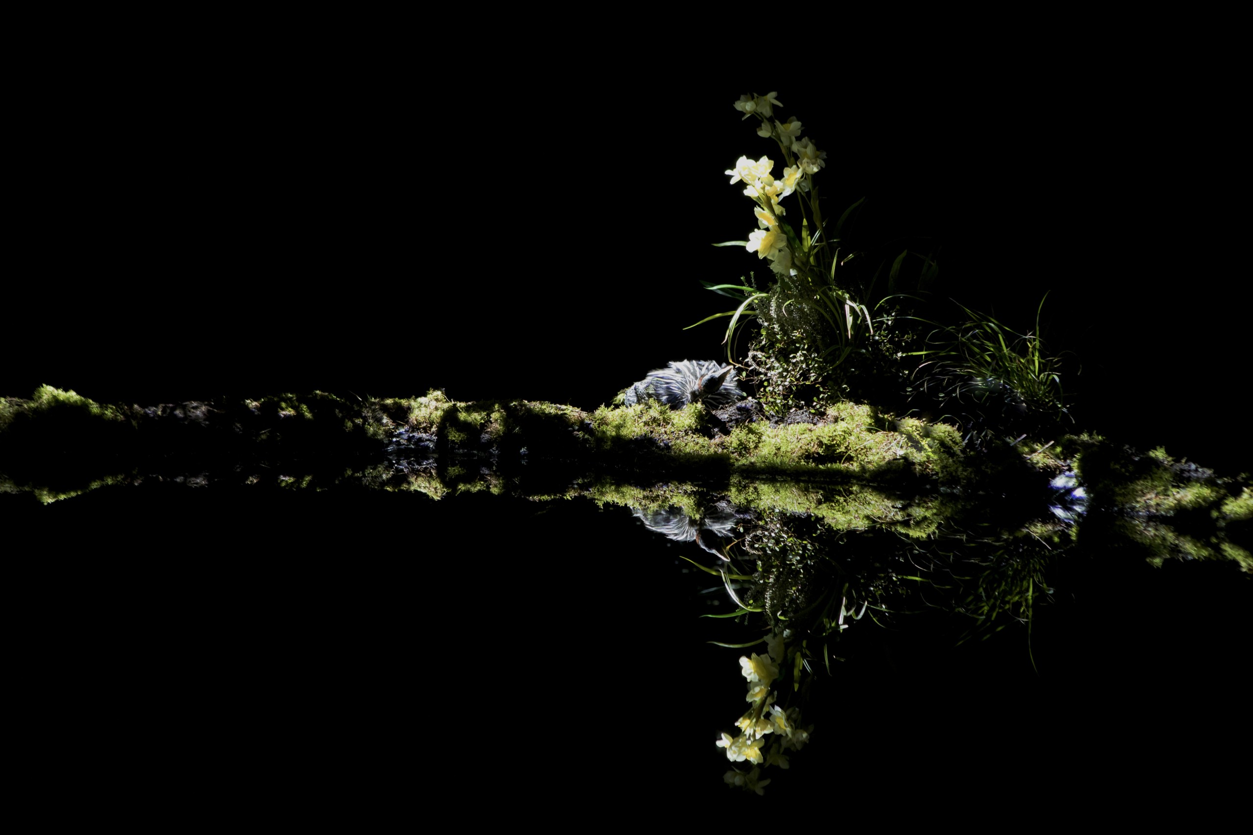 Esther Denis, L'etant © Pierre-Yves Dougnac (détail)