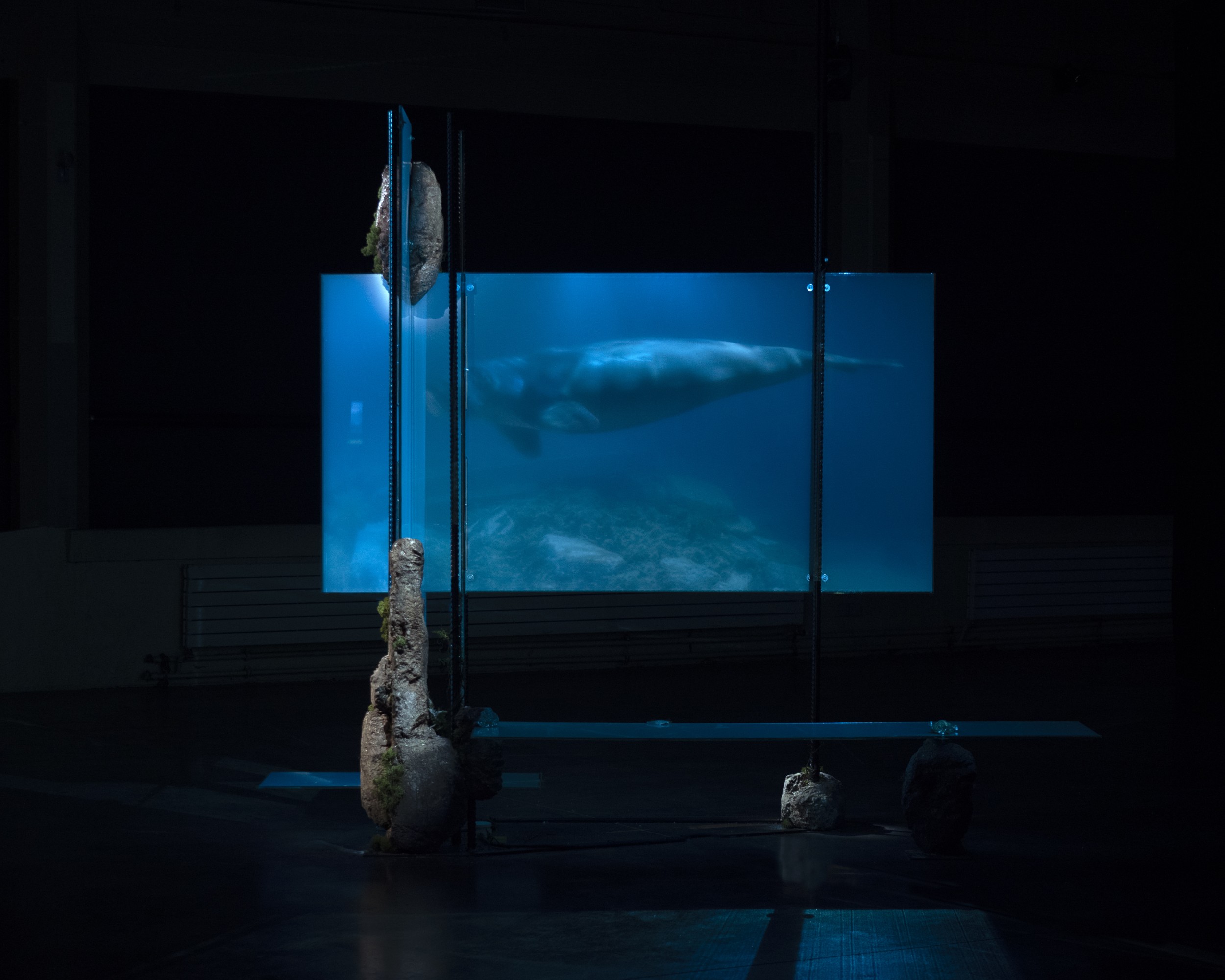 Yue Cheng, The World @YC