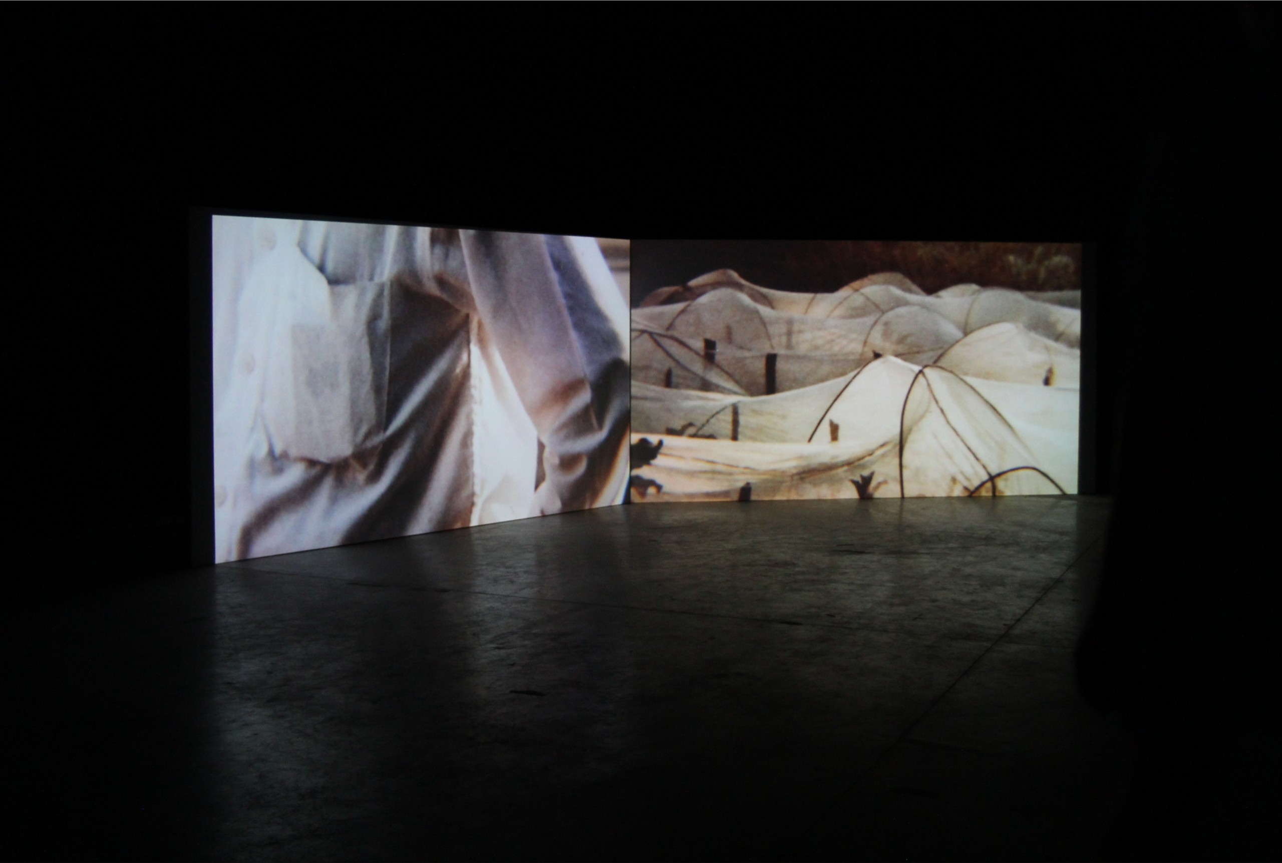 Myrthe Baptist, *Caresse*