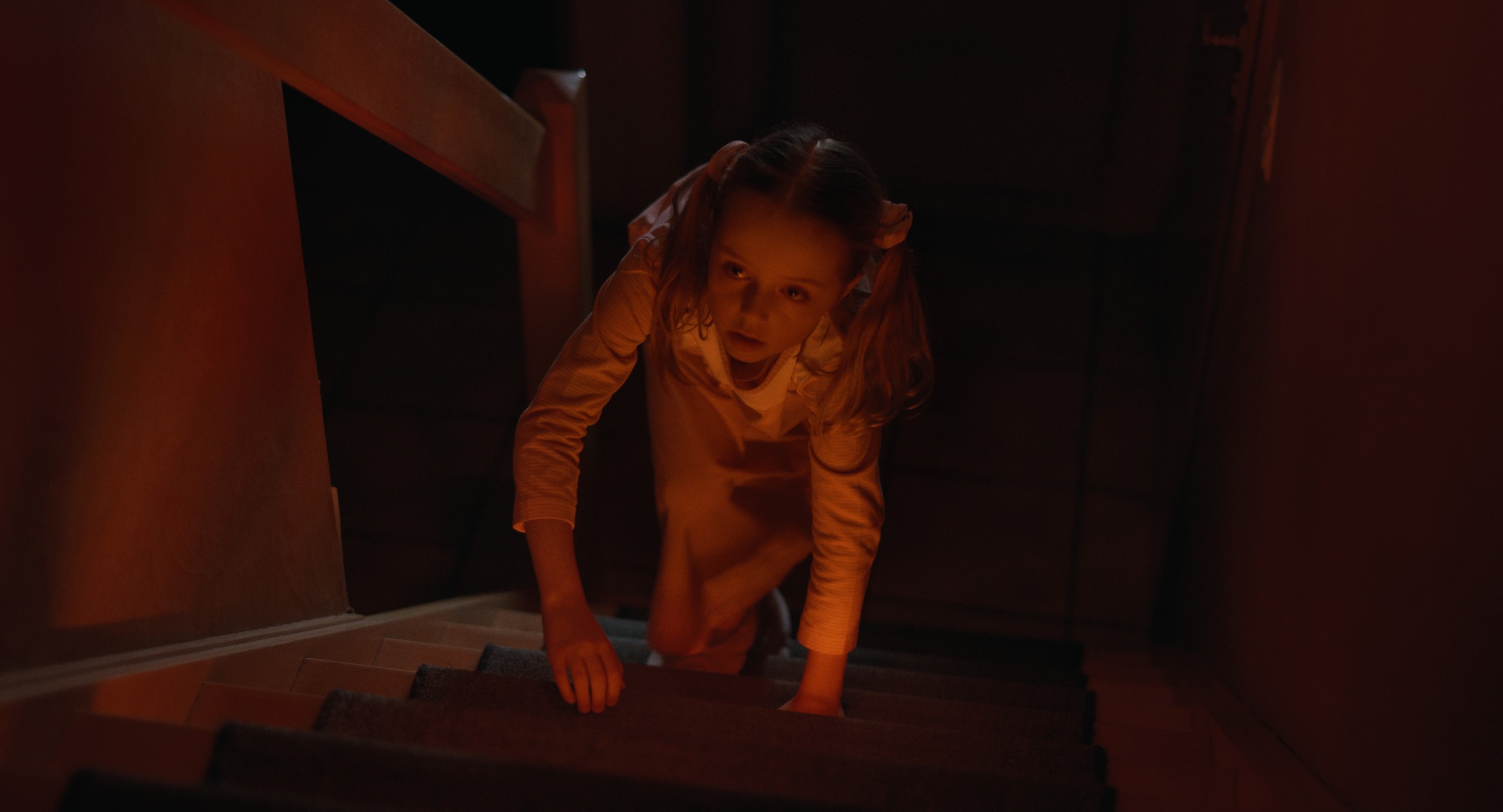 FAGNES 1986 Nicolas Monfort