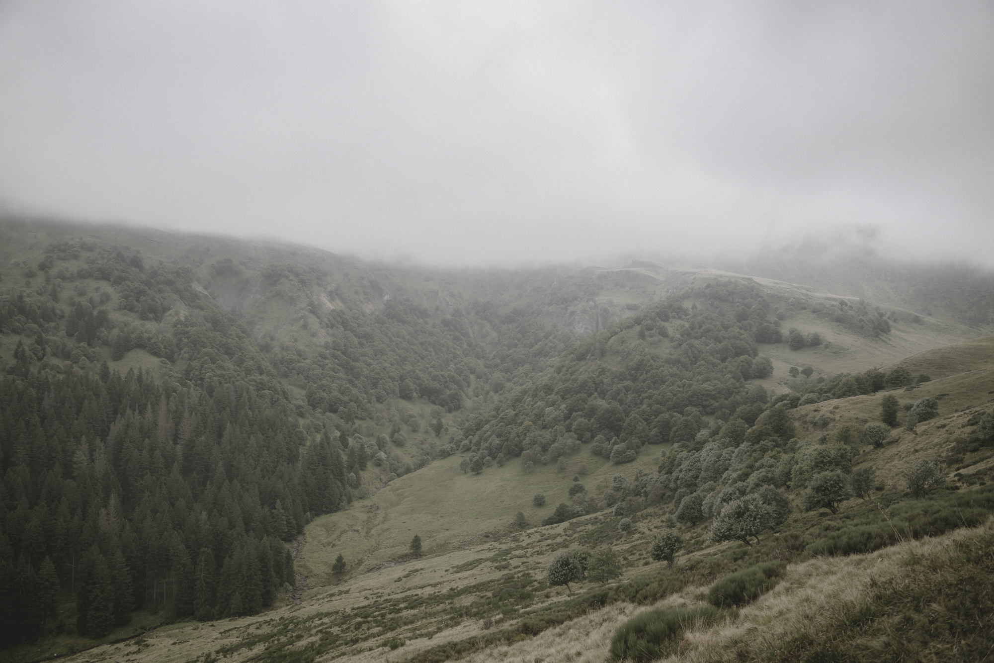 PIERRES ©ElsaLaurent