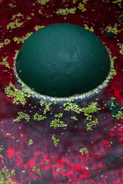 Oasis Foam sphere / Lemma Salvinia, 2019 » réalisé an collaboration avec Simon De Dreuille et Elena Seegers @botanical_agency