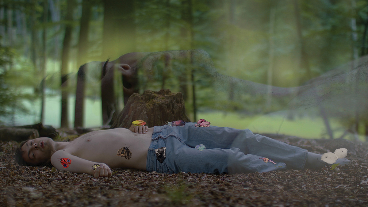 Kim Richard Adler Mejdhal, Hour Of Moth (Etude No. II), Vidéo, monocanal, en boucle | 4k | couleur | 11'10'' | Danemark | 2020