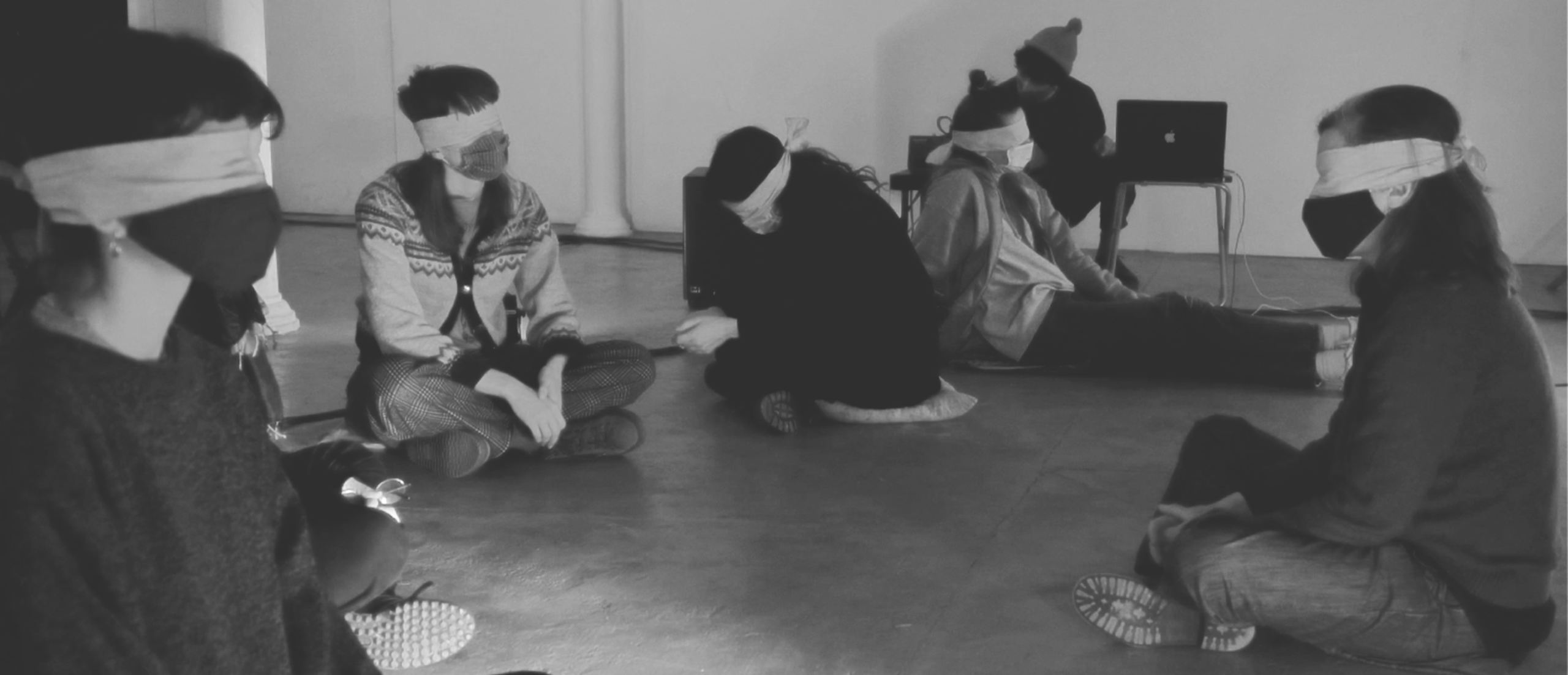 *Balade Hyménoptère 2.0* de Pedro Riofrio