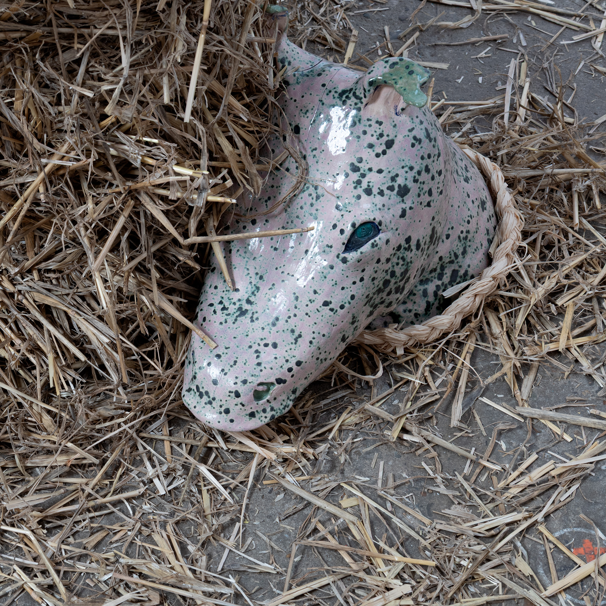 *La Bête*, Galatée Deschamps © Kamandrazavi