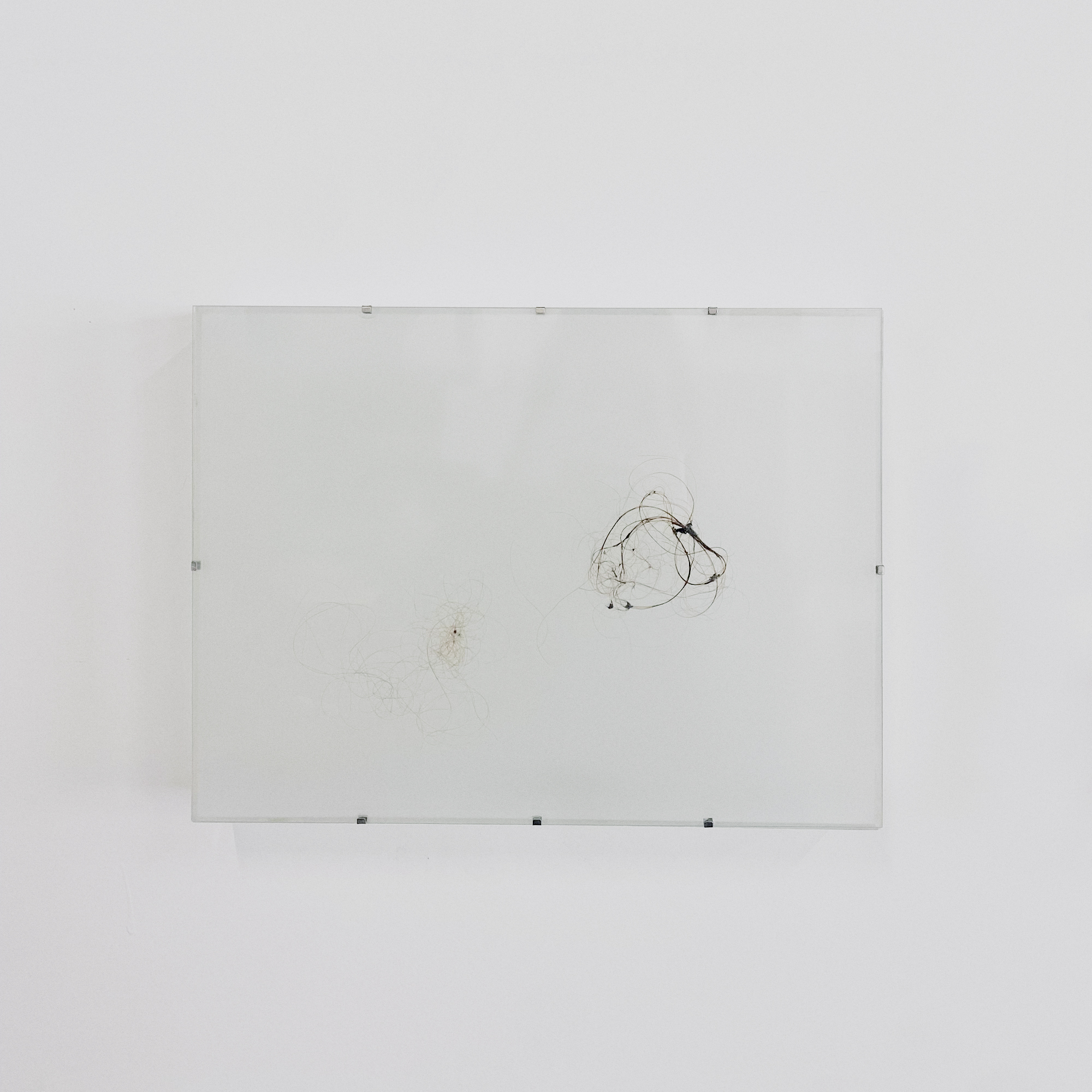 Anna de Castro Barbosa