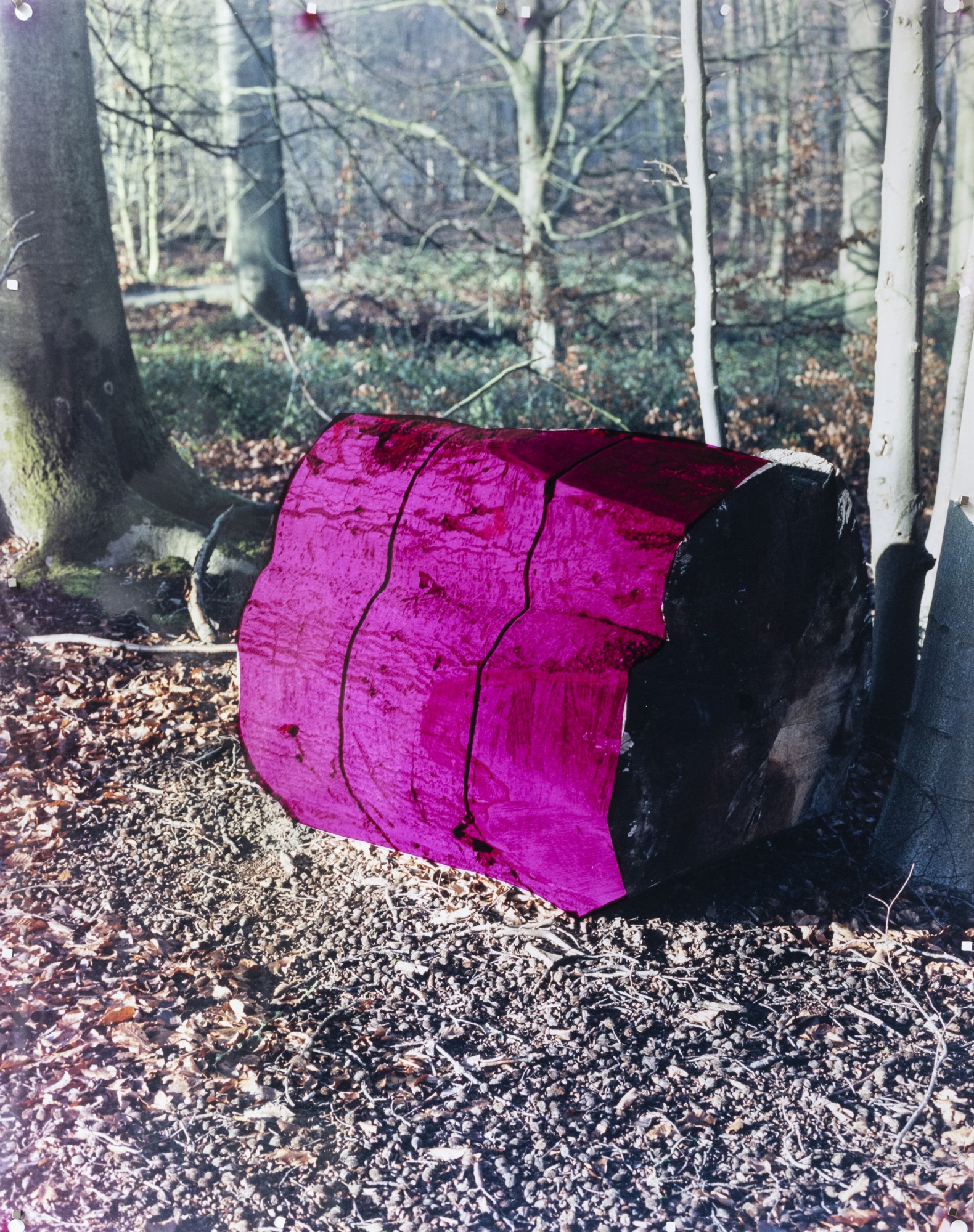 Série Hercynienne, 2020-22 avec le soutien de la fondation privée du Carrefour des Arts, Bruxelles © Téo Becher