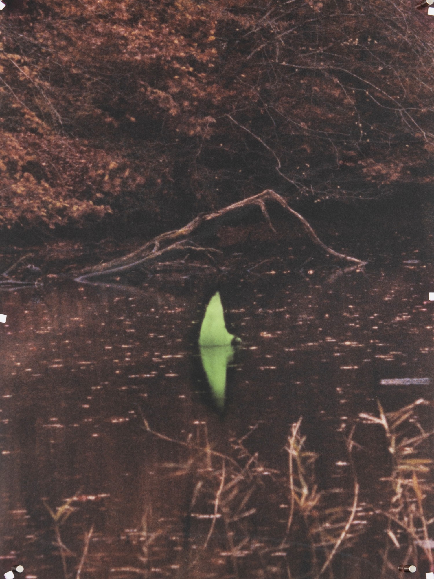 Série Hercynienne, 2020-22 avec le soutien de la fondation privée du Carrefour des Arts, Bruxelles © Téo Becher