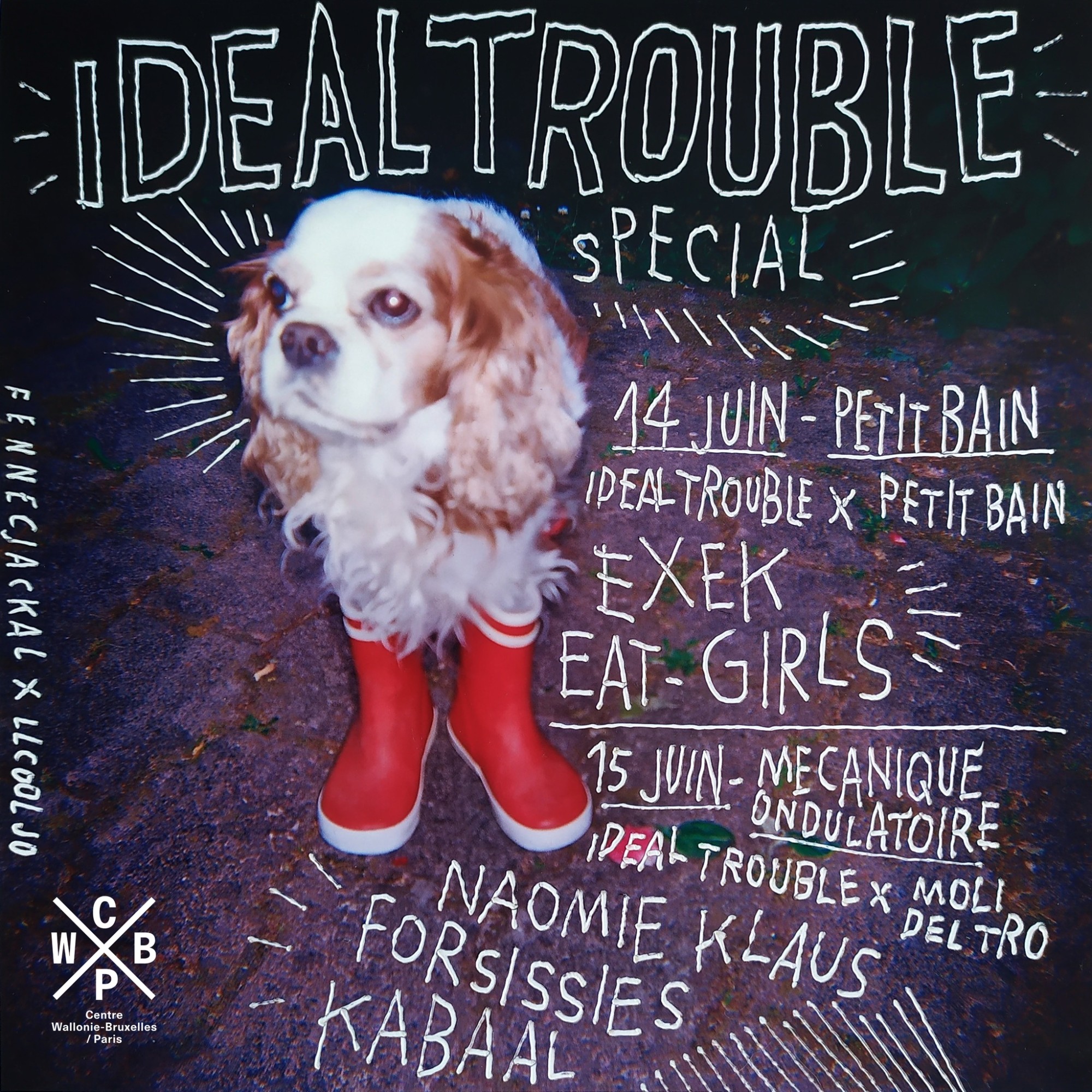 IDEAL TROUBLE