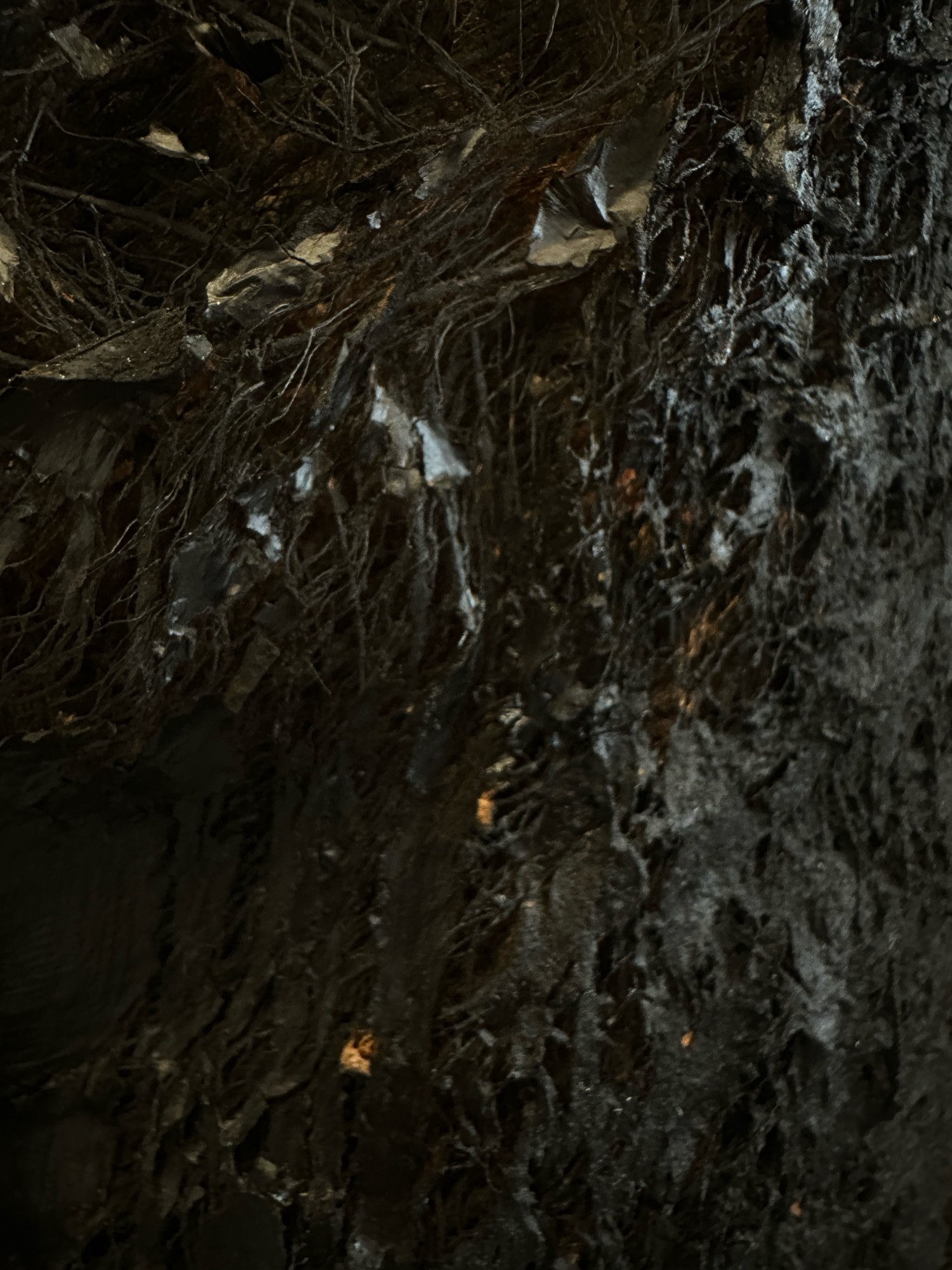 Visuel 5 © Mehdi-Georges Lahlou Courtesy Galerie Claudine Papillon