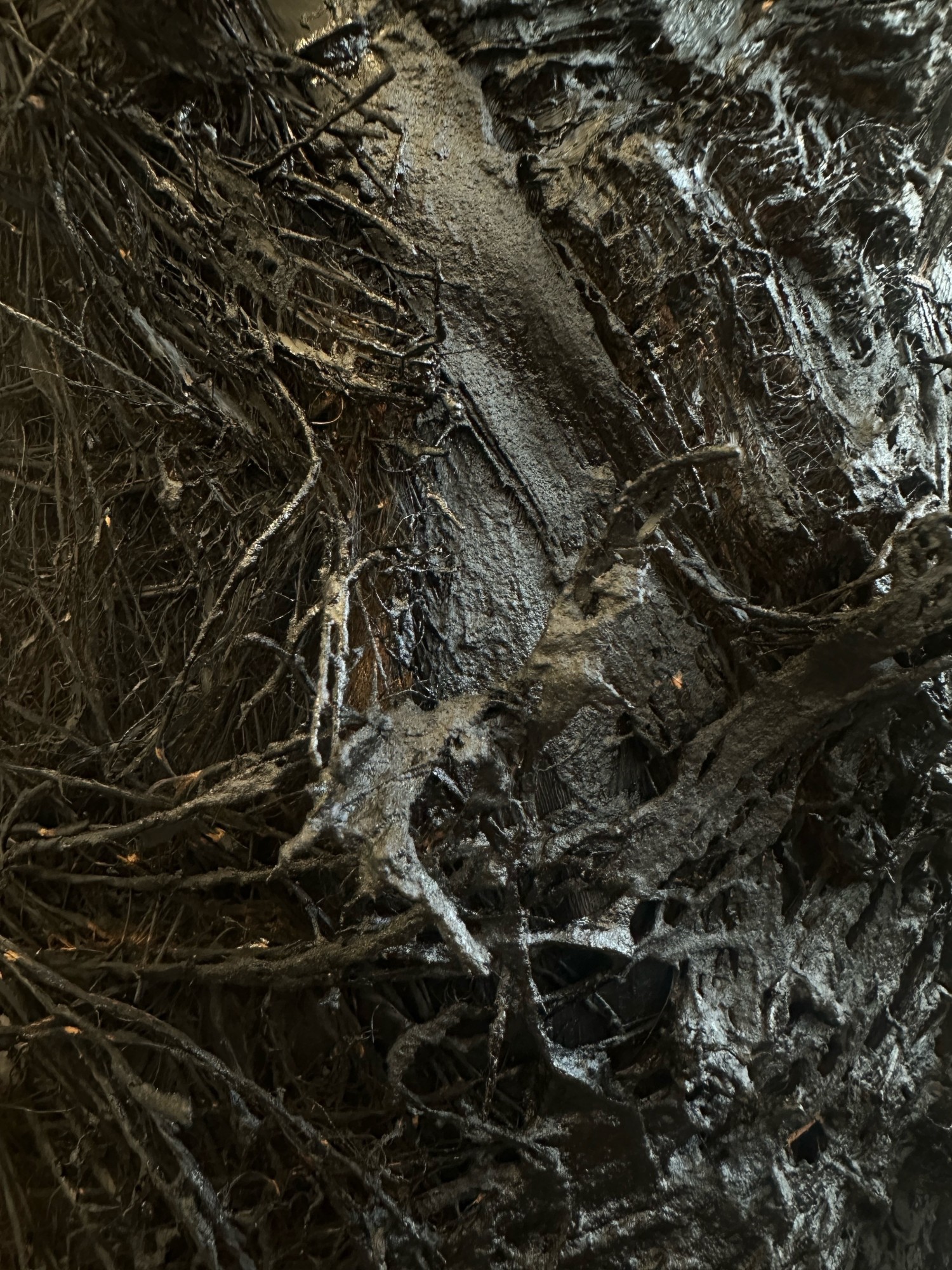 Visuel 7 © Mehdi-Georges Lahlou Courtesy Galerie Claudine Papillon