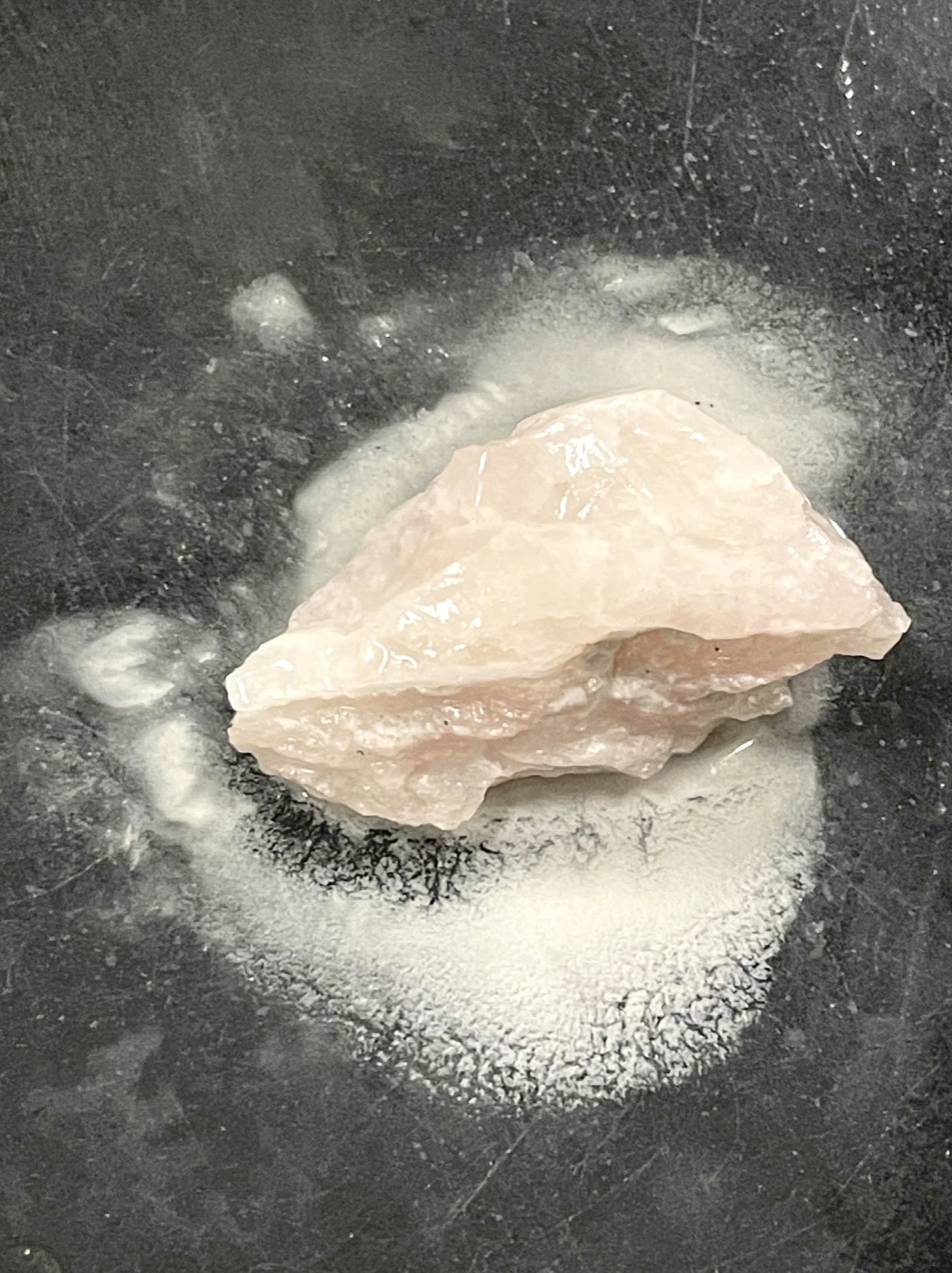 Fragment © Pierre Renucci