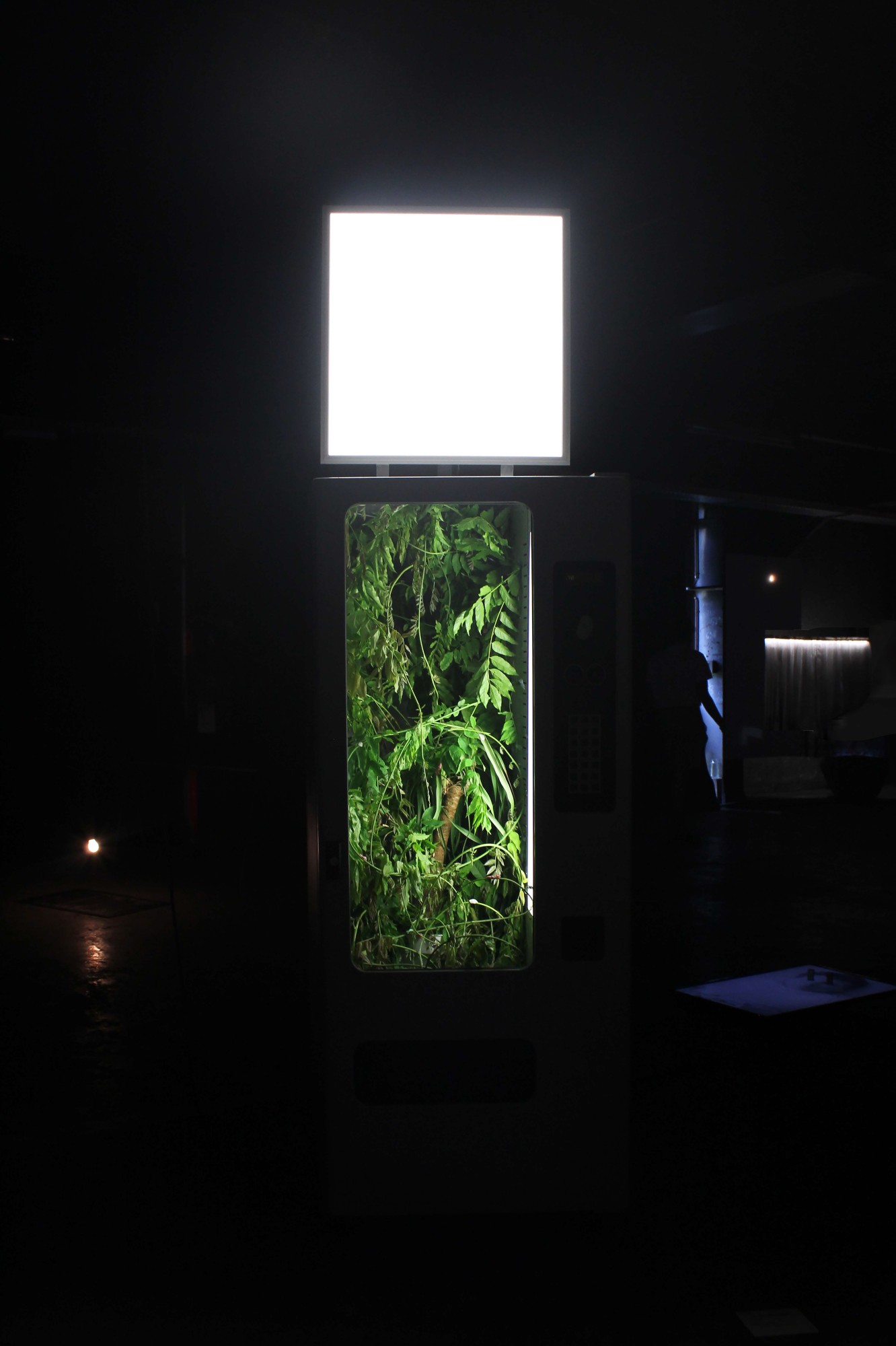 Eva de Chabaneix, ://About:blank