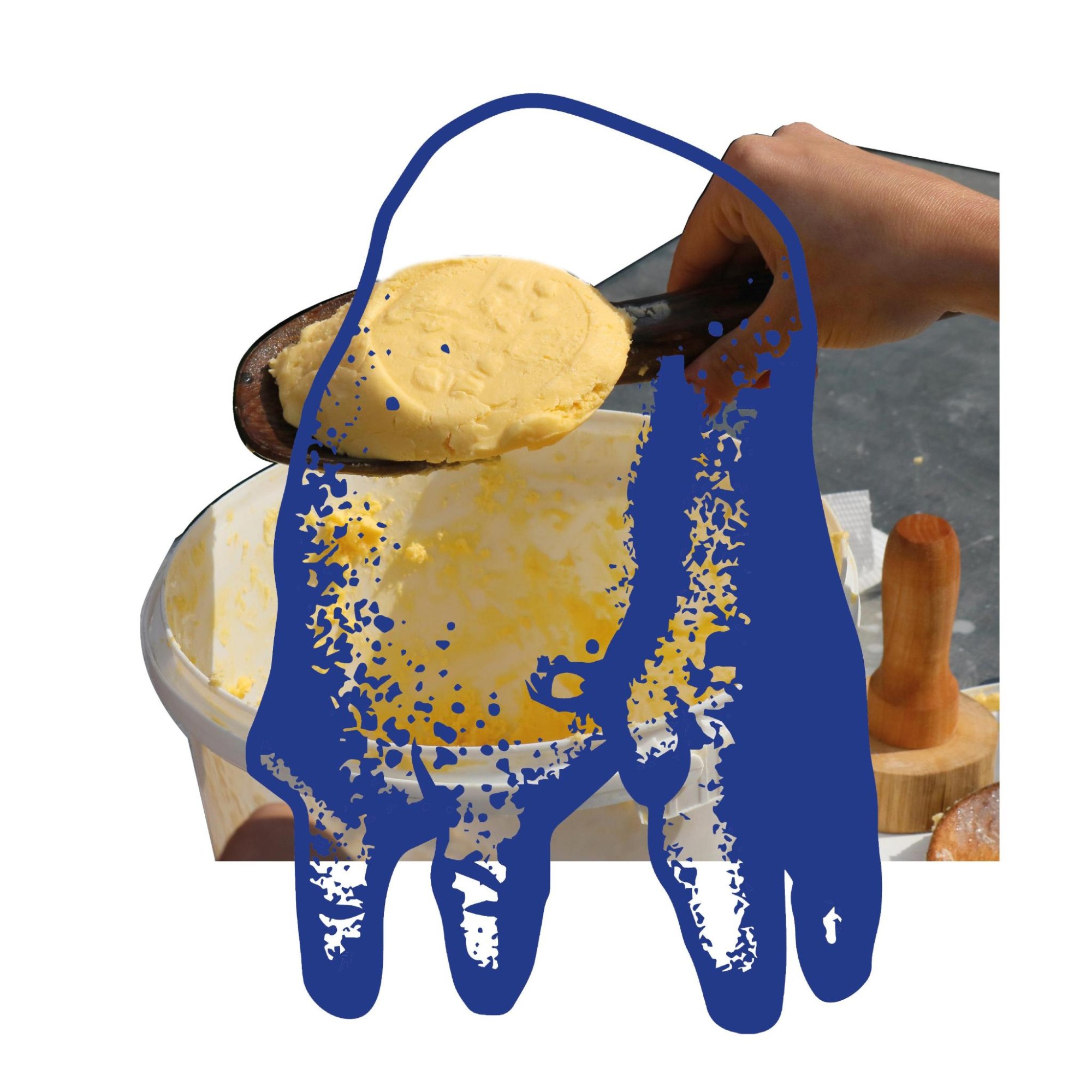 visuel PICNHYBRIDE - duo ORAN x CWB