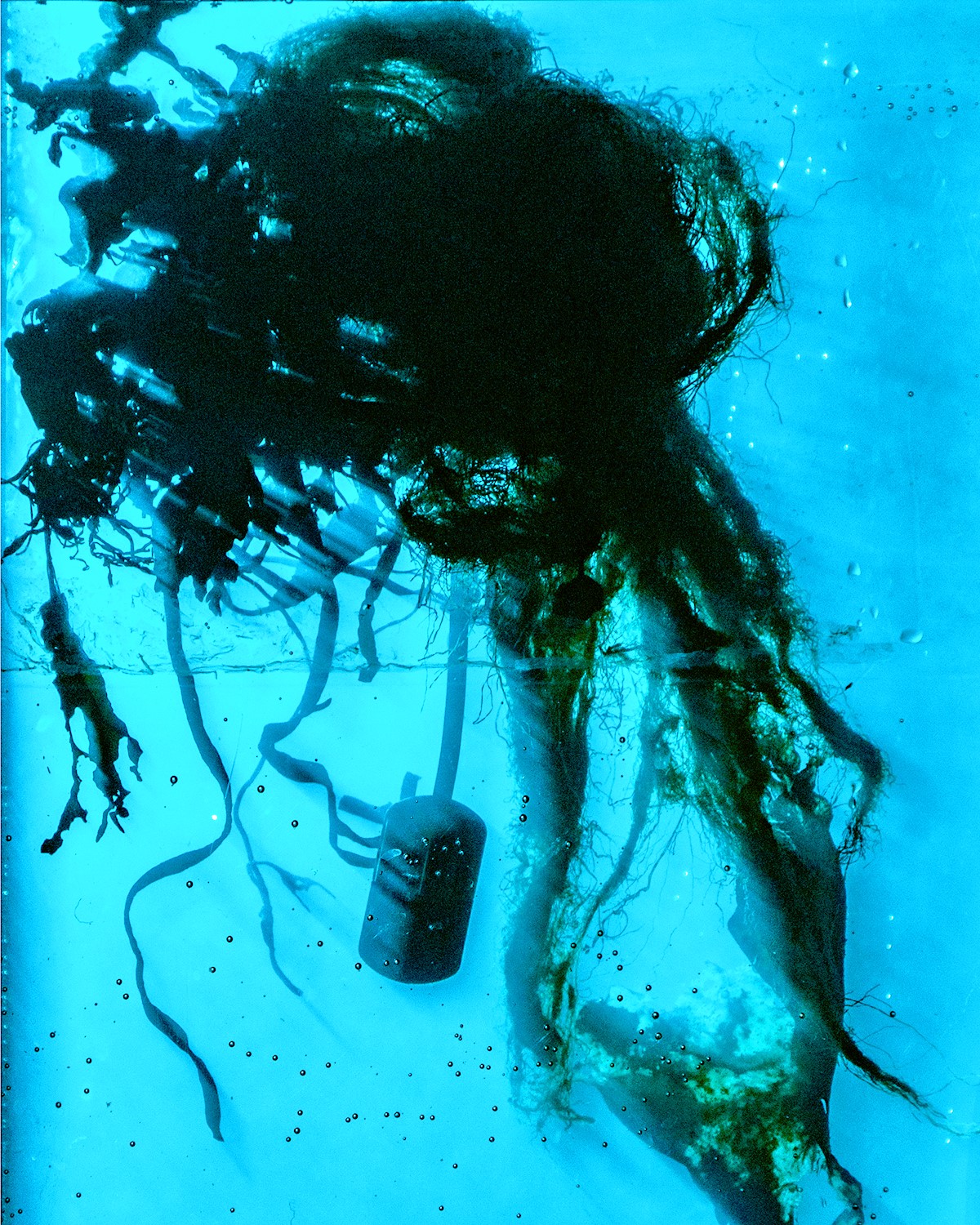 Greet et Raf  ©David Ducon