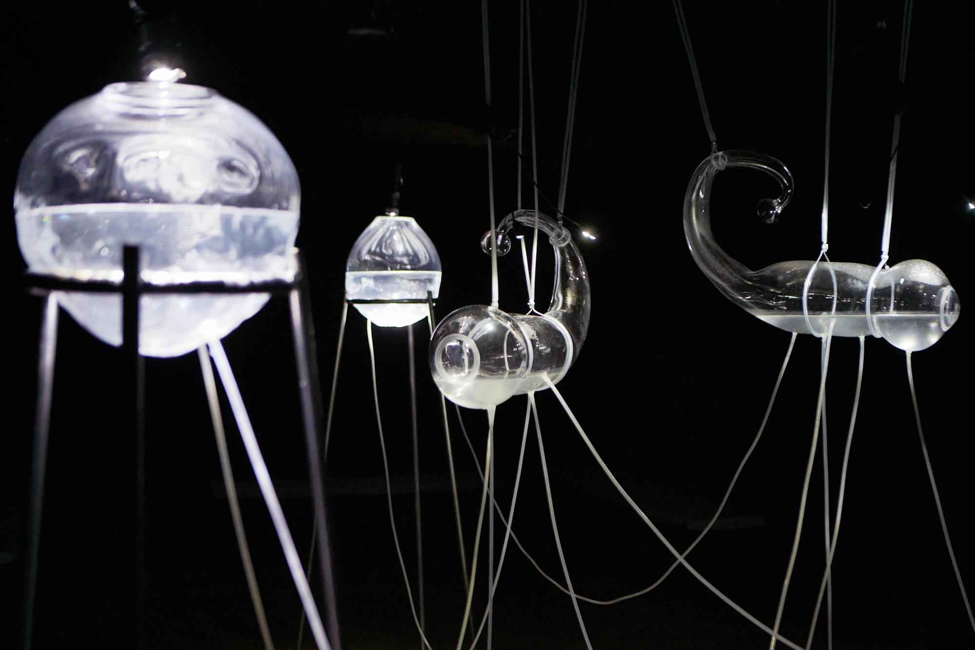 *Eunoé* (2022) à La Pop péniche, ©Ignacio Barrios