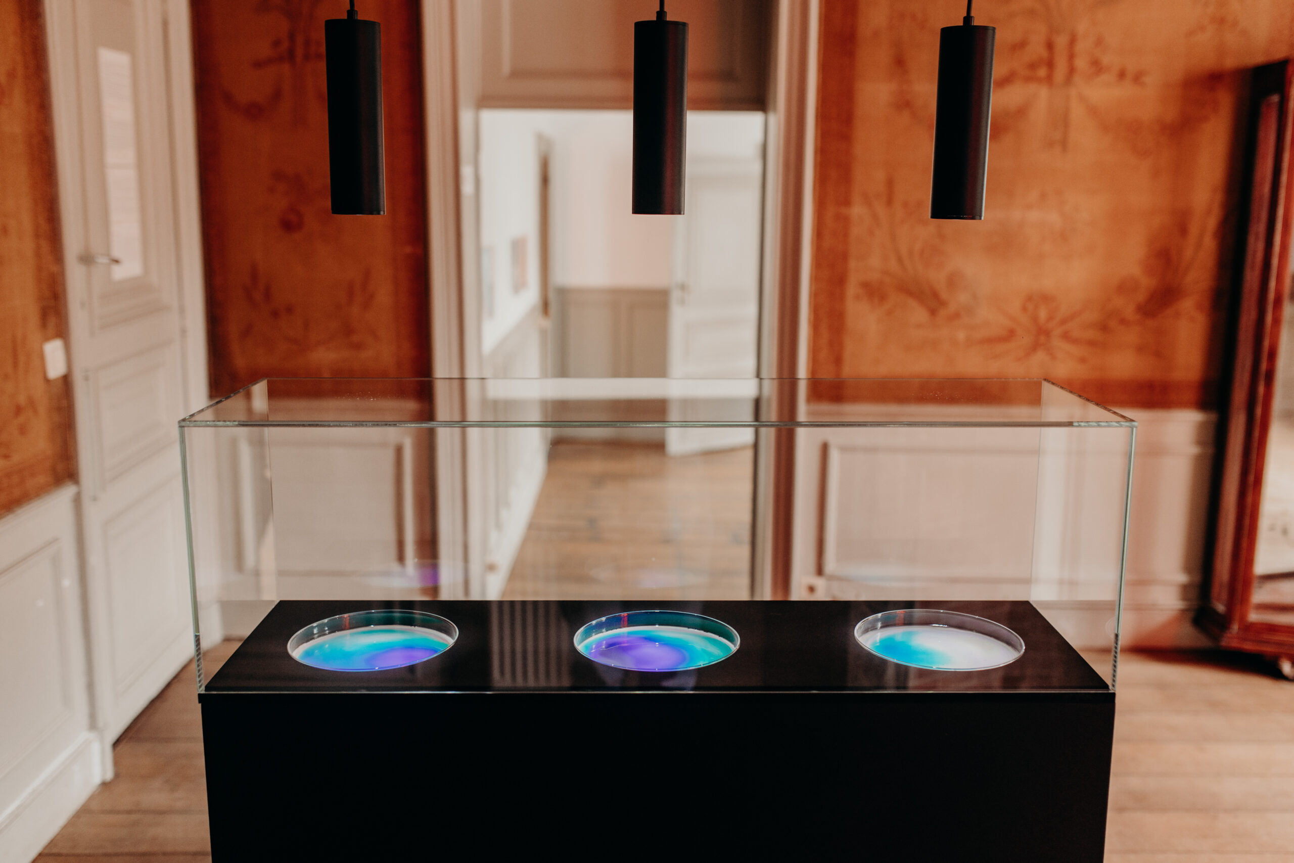 *Ιρις/Iris* (2022), ©Candice Athenais