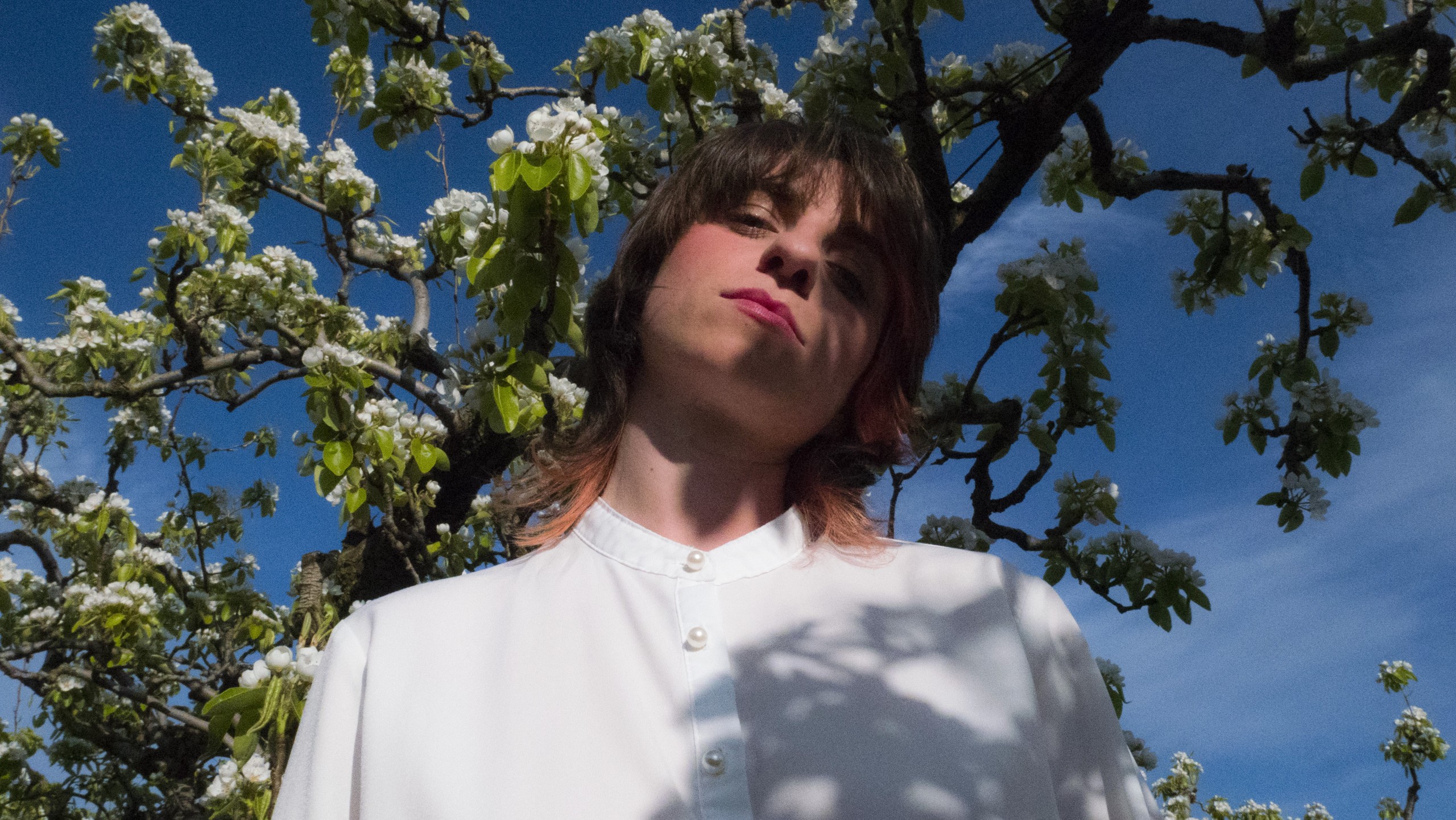 TRYPHEME - ©Cedric Steffens