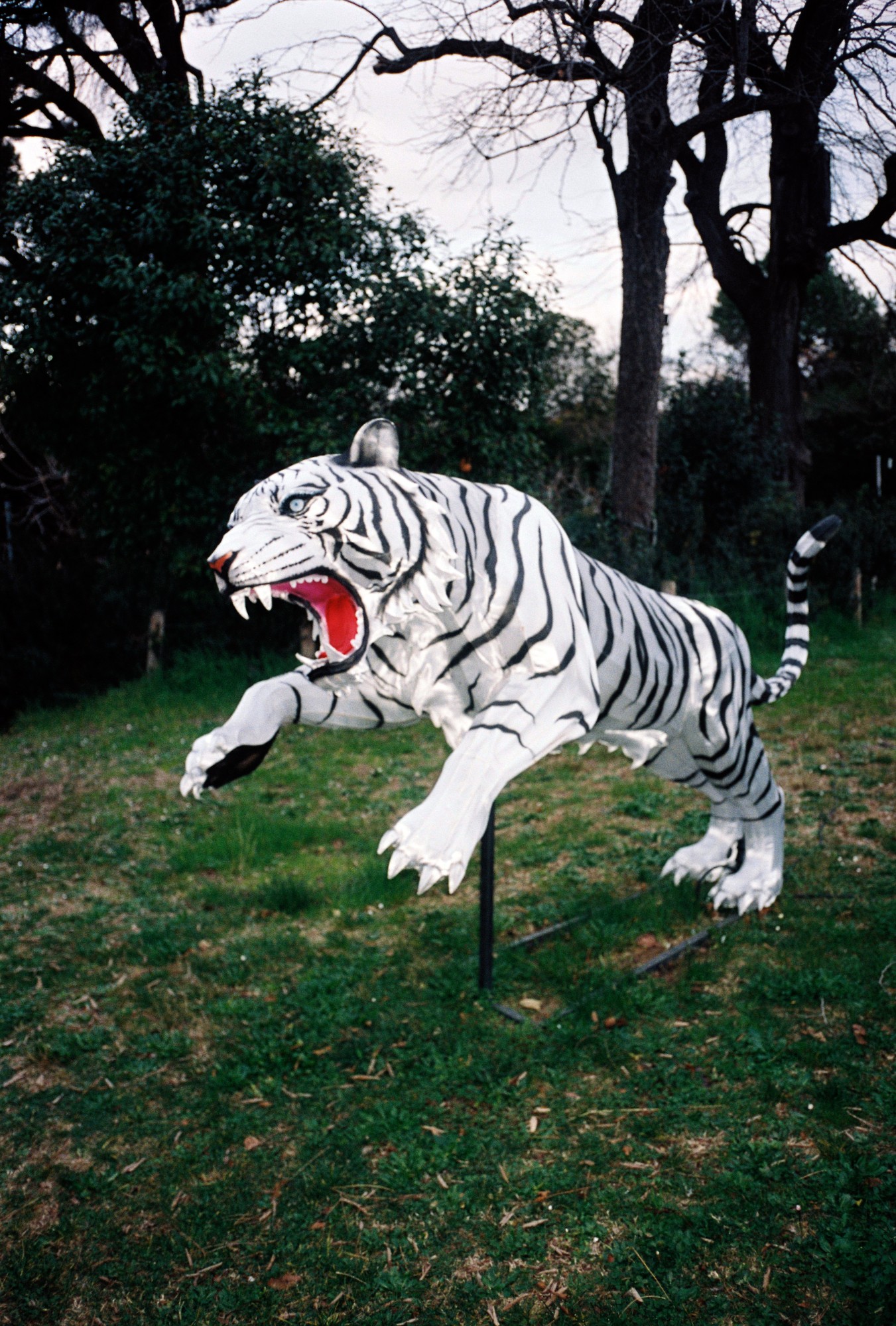 *On dirait Marseille* (série) © Vincen Beeckman 2020-2021