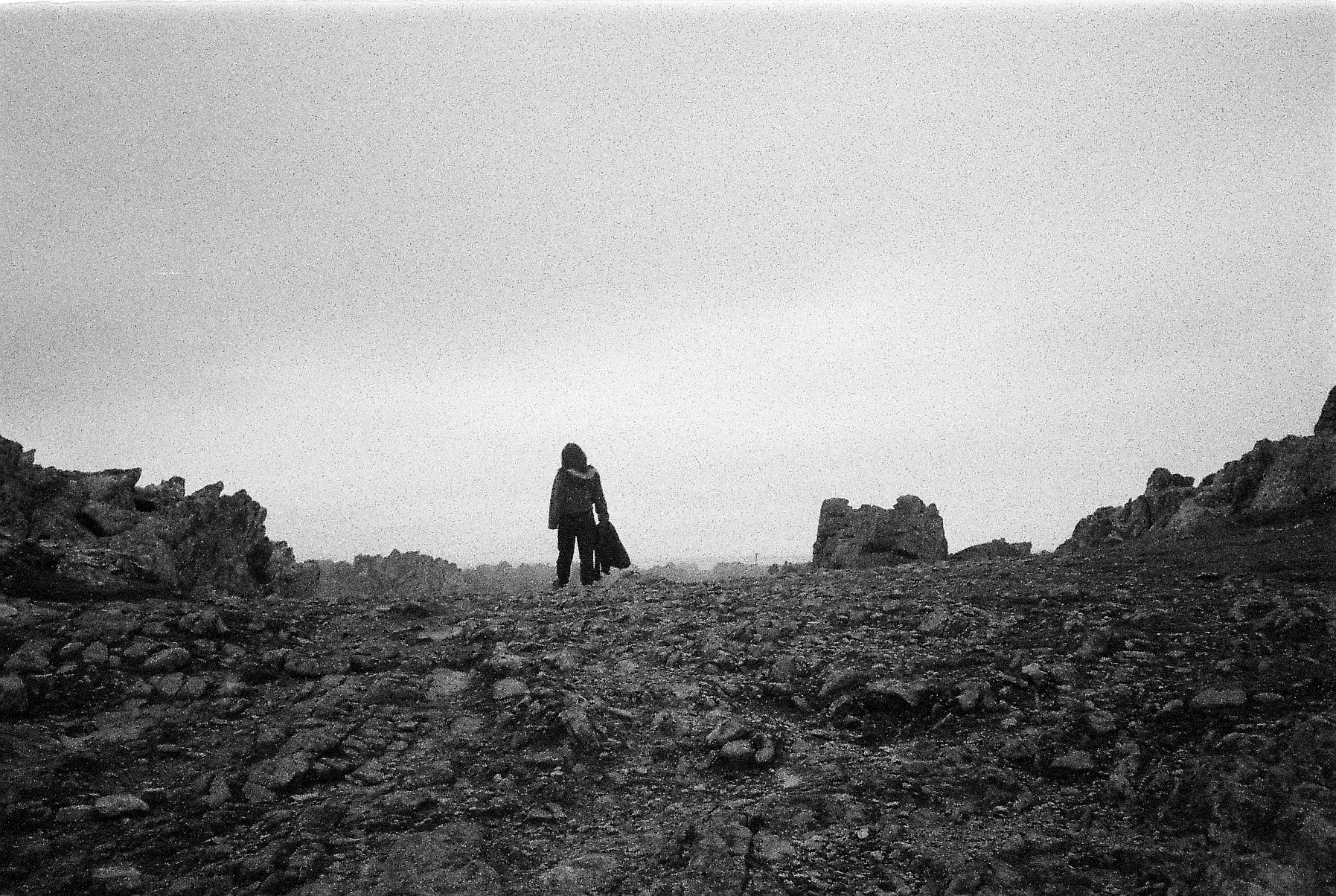 Capture d'écran *Ellipse* ©Nicolas Bourthoumieux