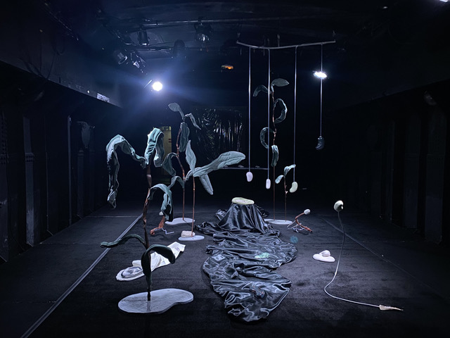Cléo Totti, *Le mythe des fèves d’argent*, vue d’installation sculpturale immersive et sonore à la péniche pop, 2026 ©Cléo Totti Studio