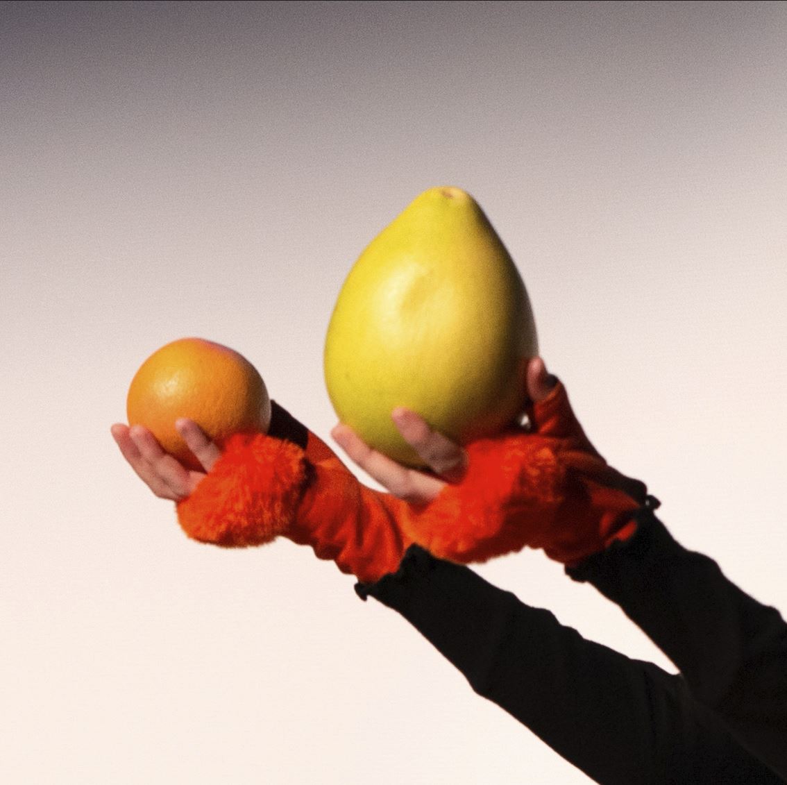 Citrus maxima xparadisi, 66ème Salon de Montrouge, Novembre 2022 ©️ Zoé Chauvet  Work Method Citrus maxima xparadisi, 66ème Salon de Montrouge, Novembre 2022 ©️ Zoé Chauvet  Work Method 3