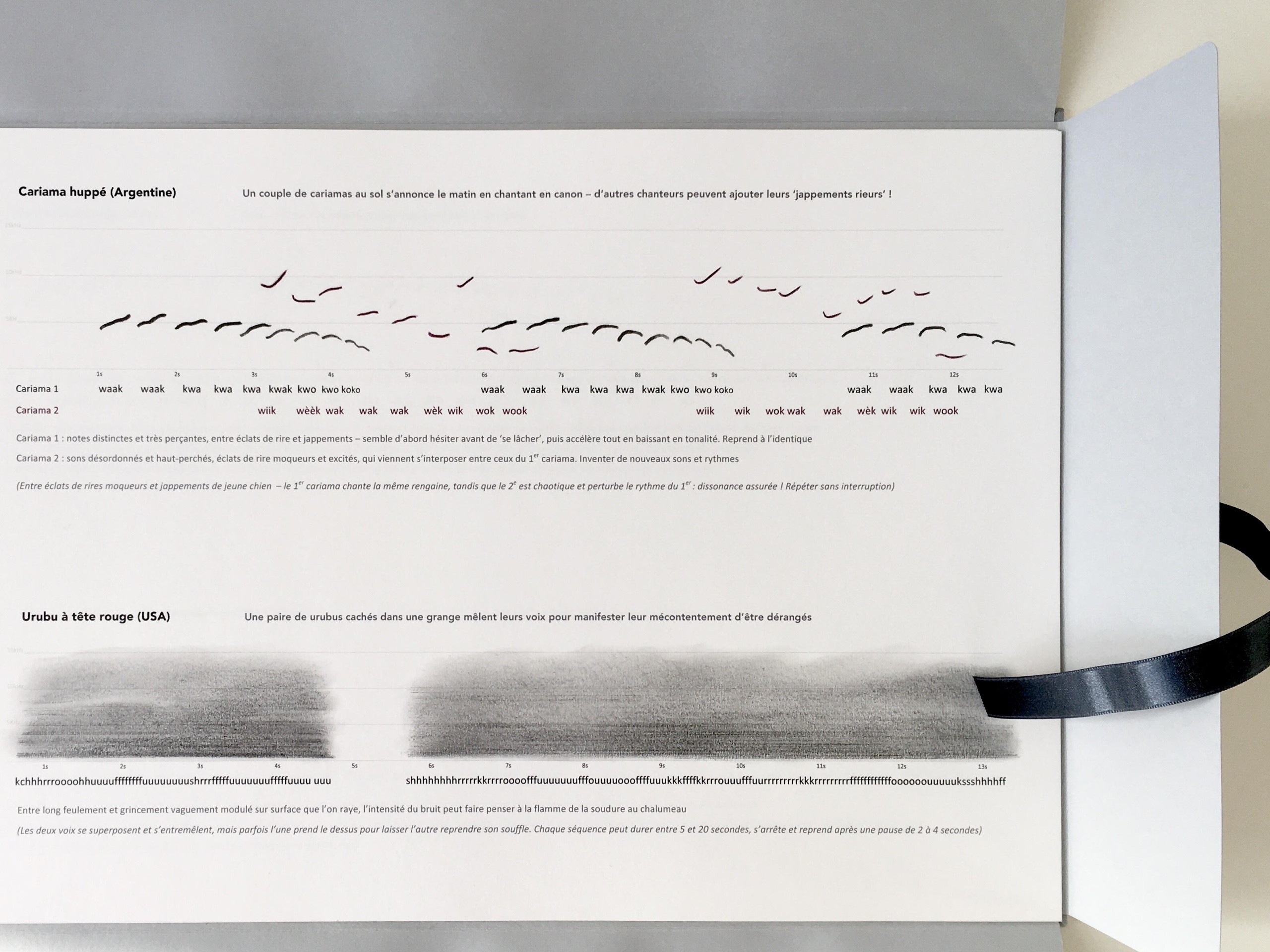 Lucile Bertrand, partition de chanter comme des oiseaux