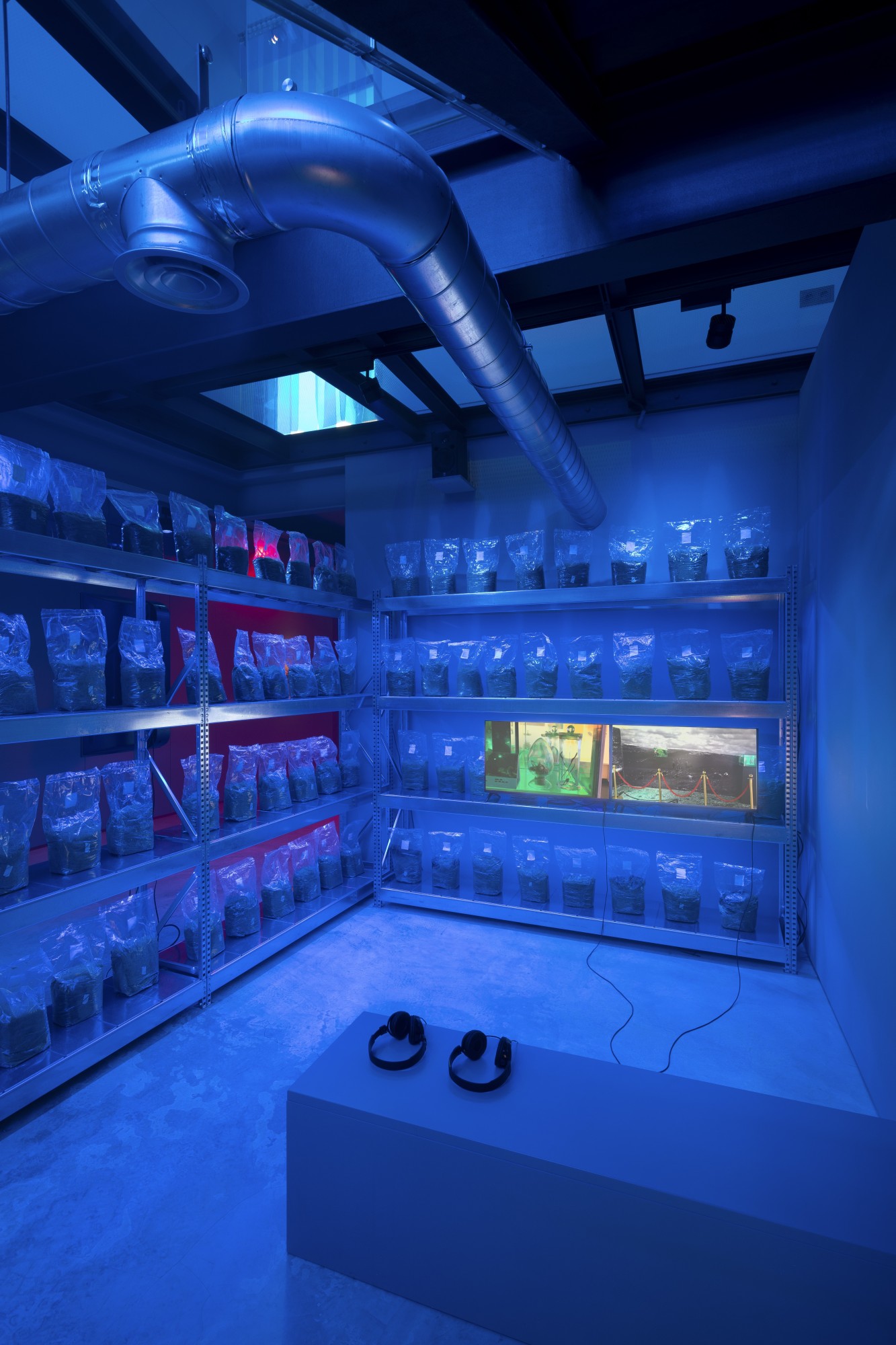 Avantages mutuels. Commissaire  Sam Shiyi Qian, Rialto6, Lisbonne (PT), 2024. Avec l'aimable autorisation de l'artiste, Rialto6, et Lehmann. Photo by Vasco Stocker