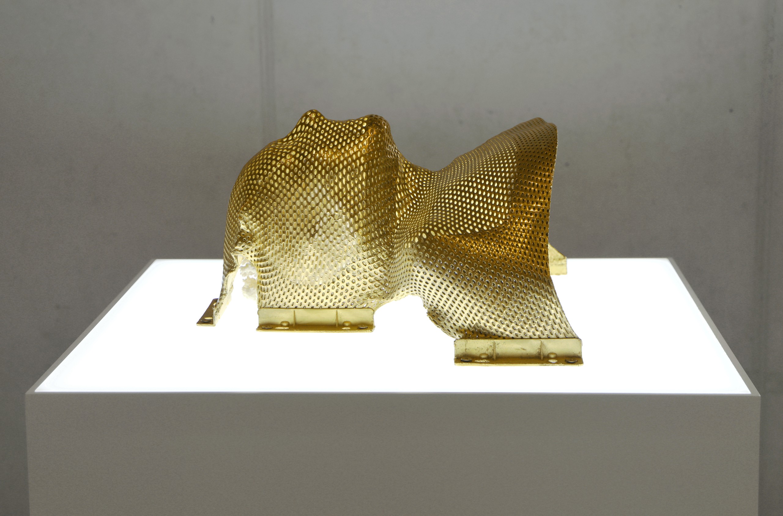 Nicolás Lamas Liminal embodiment, 2023, thermoplastique, métal galvanisé, or, corail, MDF, plexiglas, lumières LED © Blaž Gutman