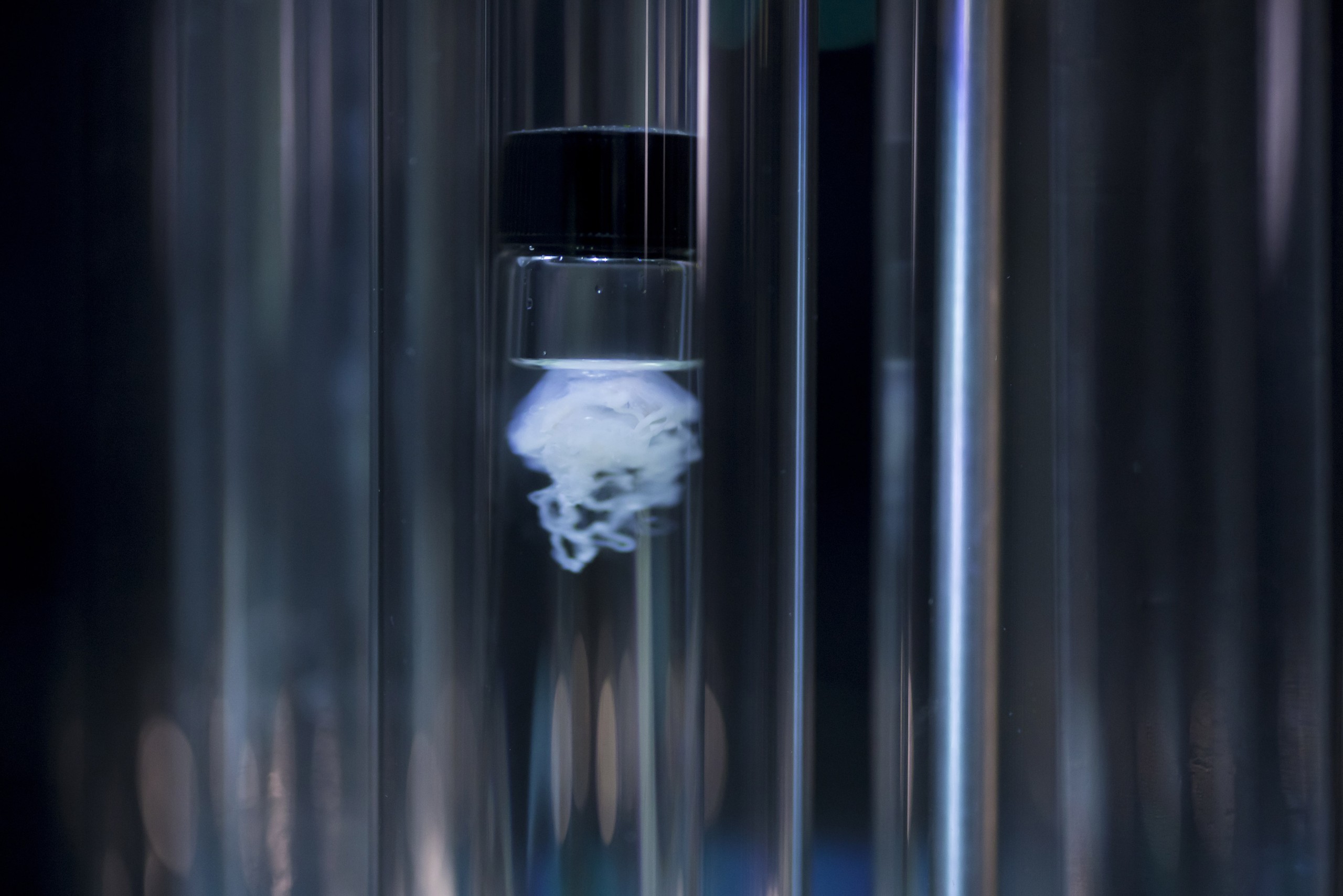 Robertina Sebjanic. Atlantic Tales . Photo by Ales Rosa - Kino Siska