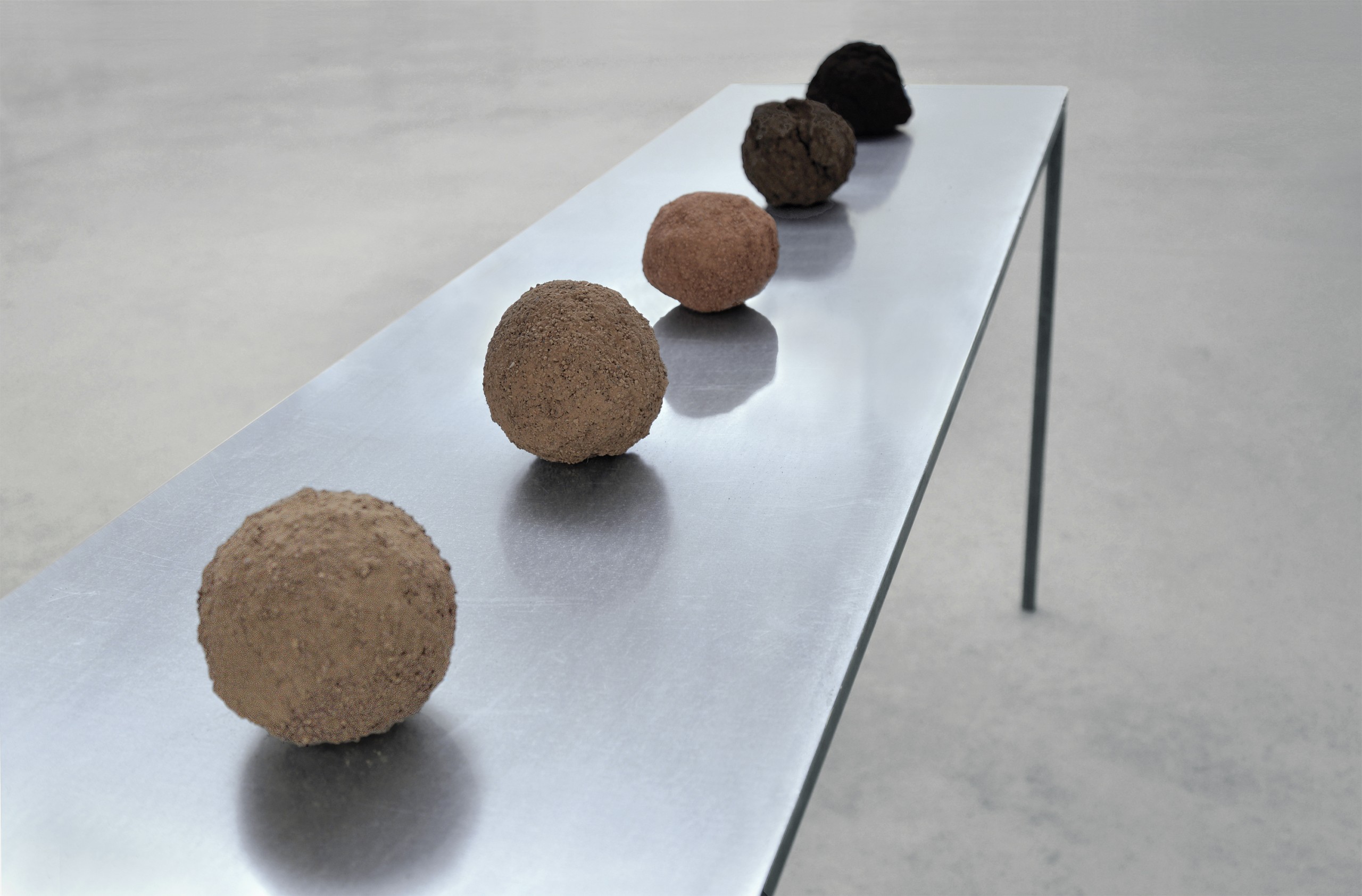 Caroline Le Méhauté *Negociation 84 – Le sens de la croissance* 2016 Terres agricoles et métal 87 x 200 x 50 cm