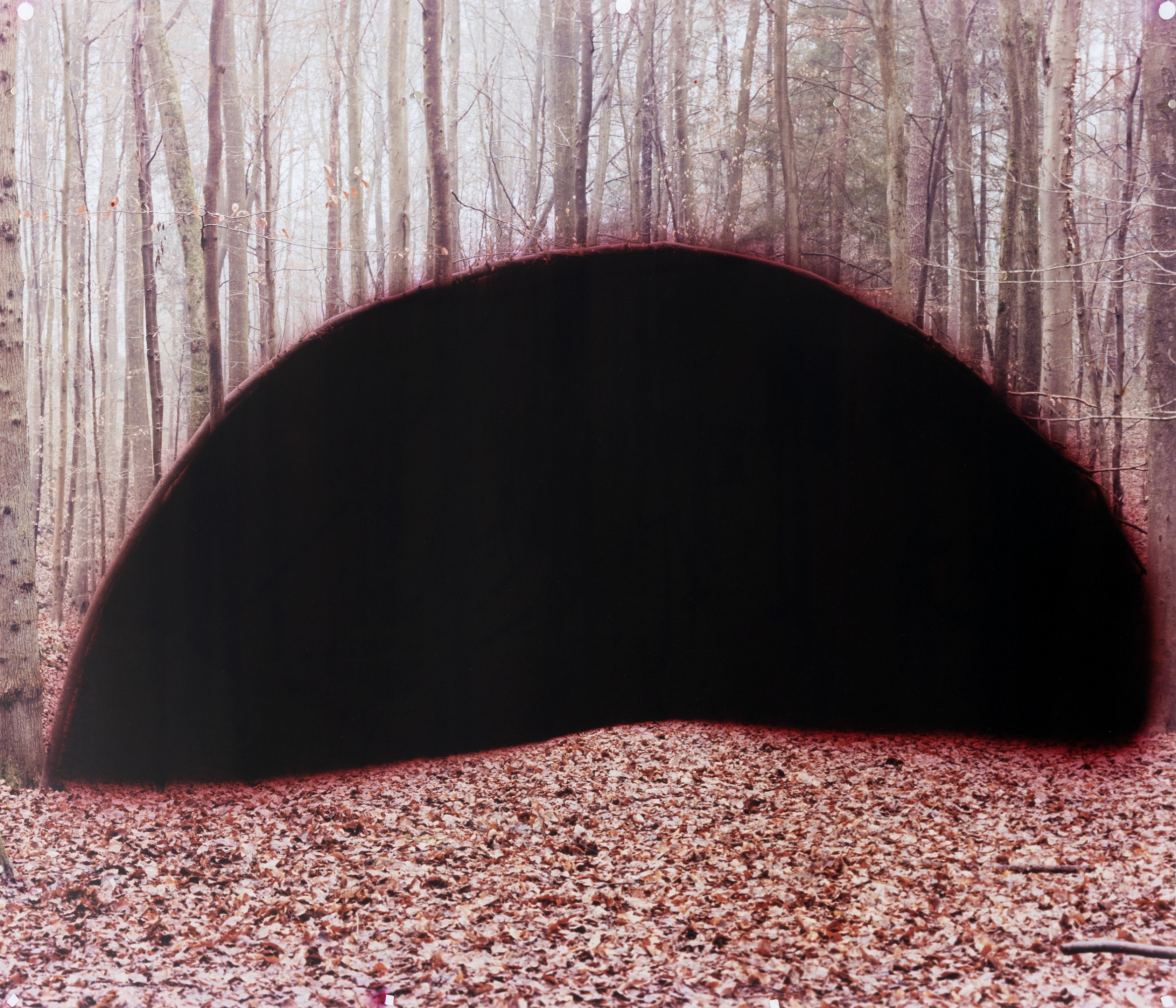 hercynienne © Téo Becher