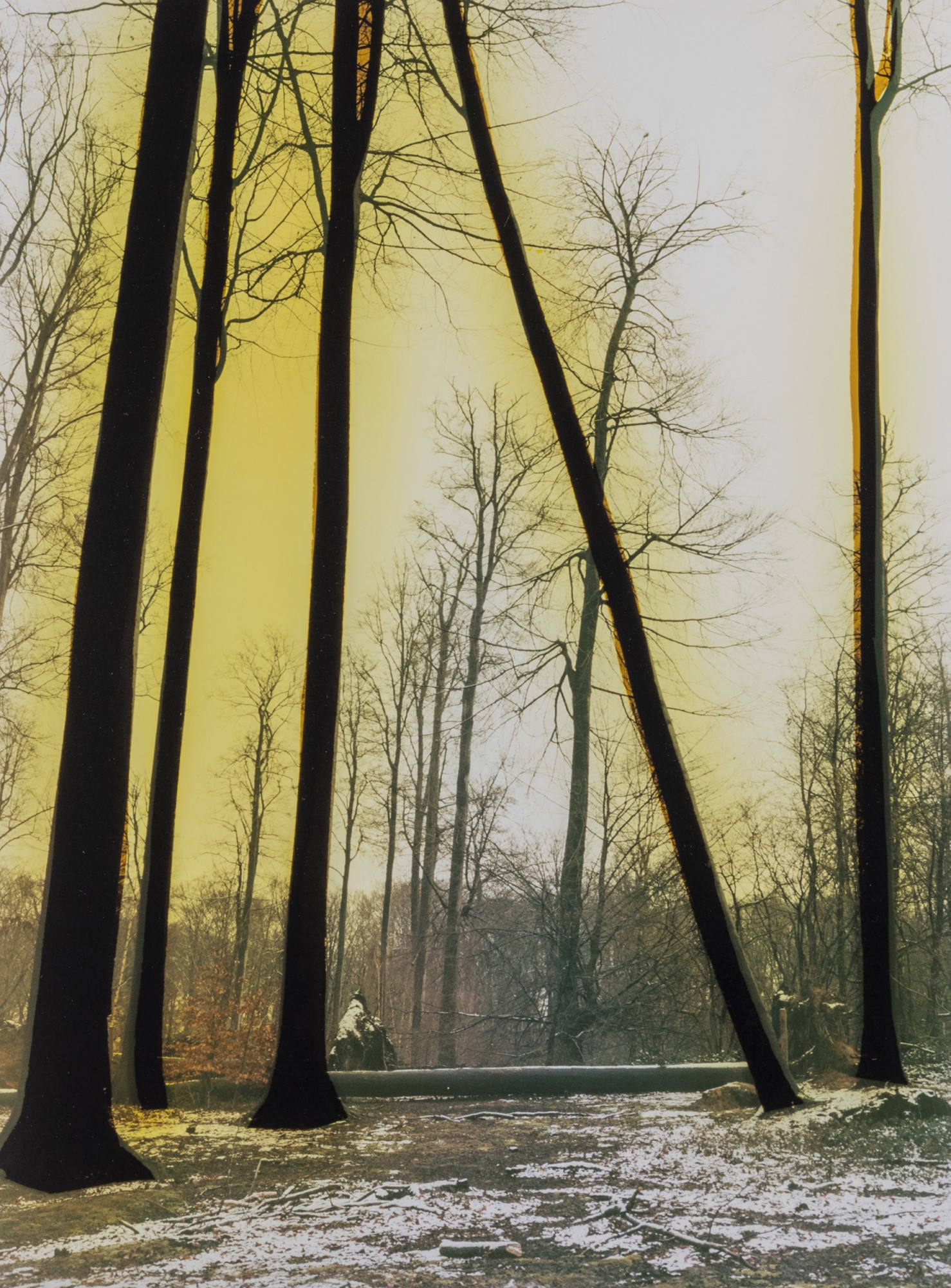 hercynienne © Téo Becher