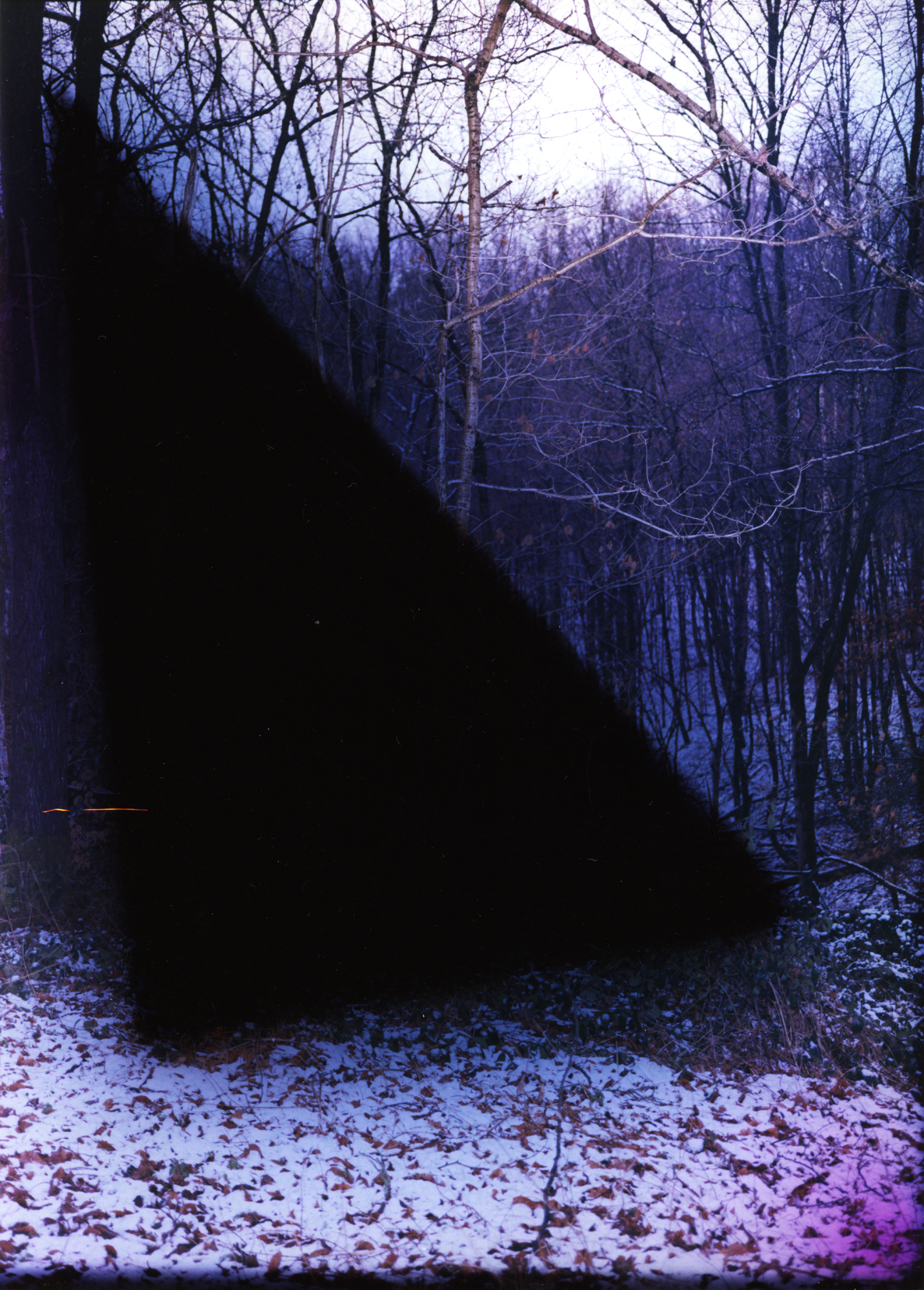 hercynienne © Téo Becher